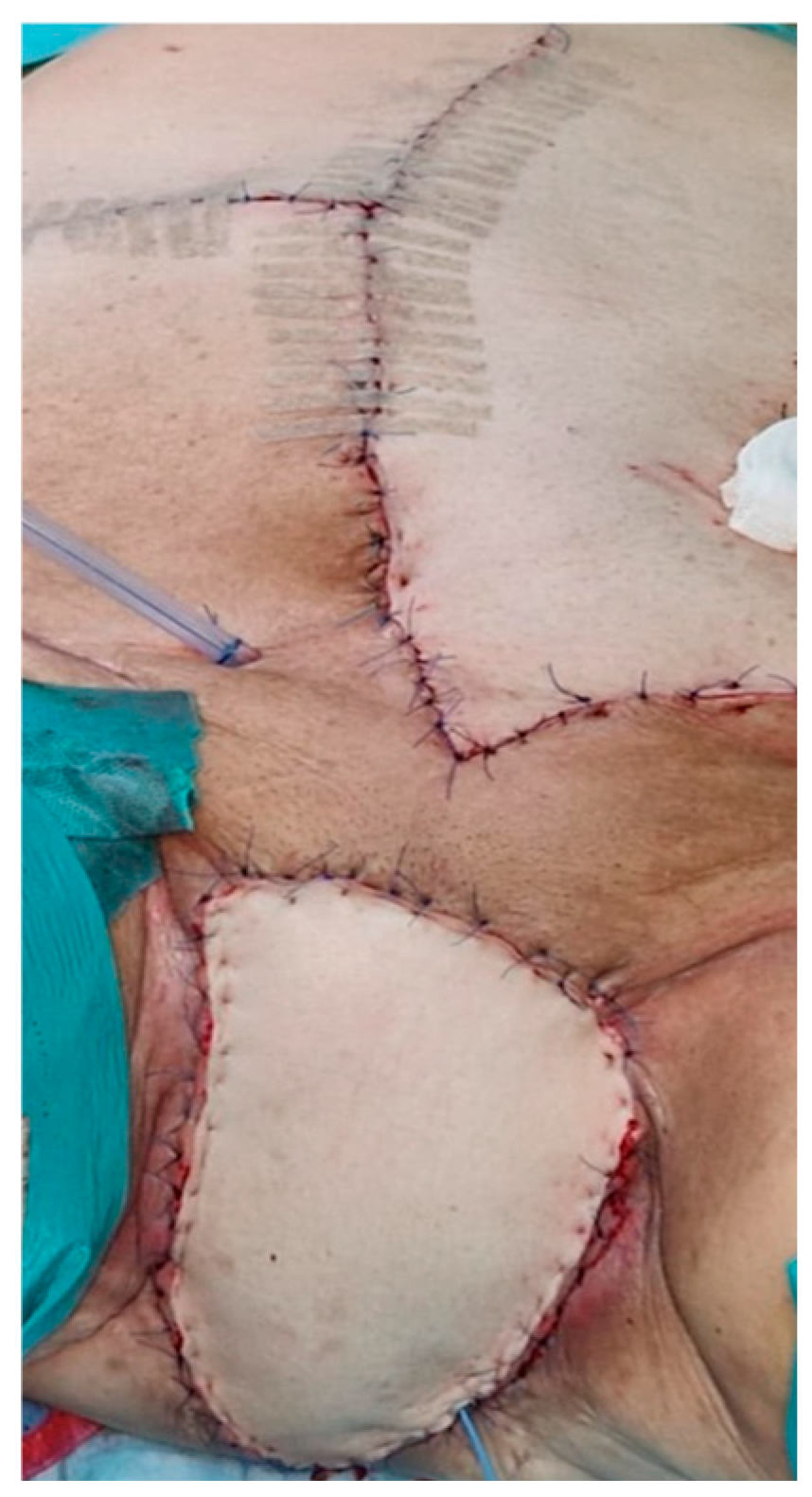 Preprints 158927 g001