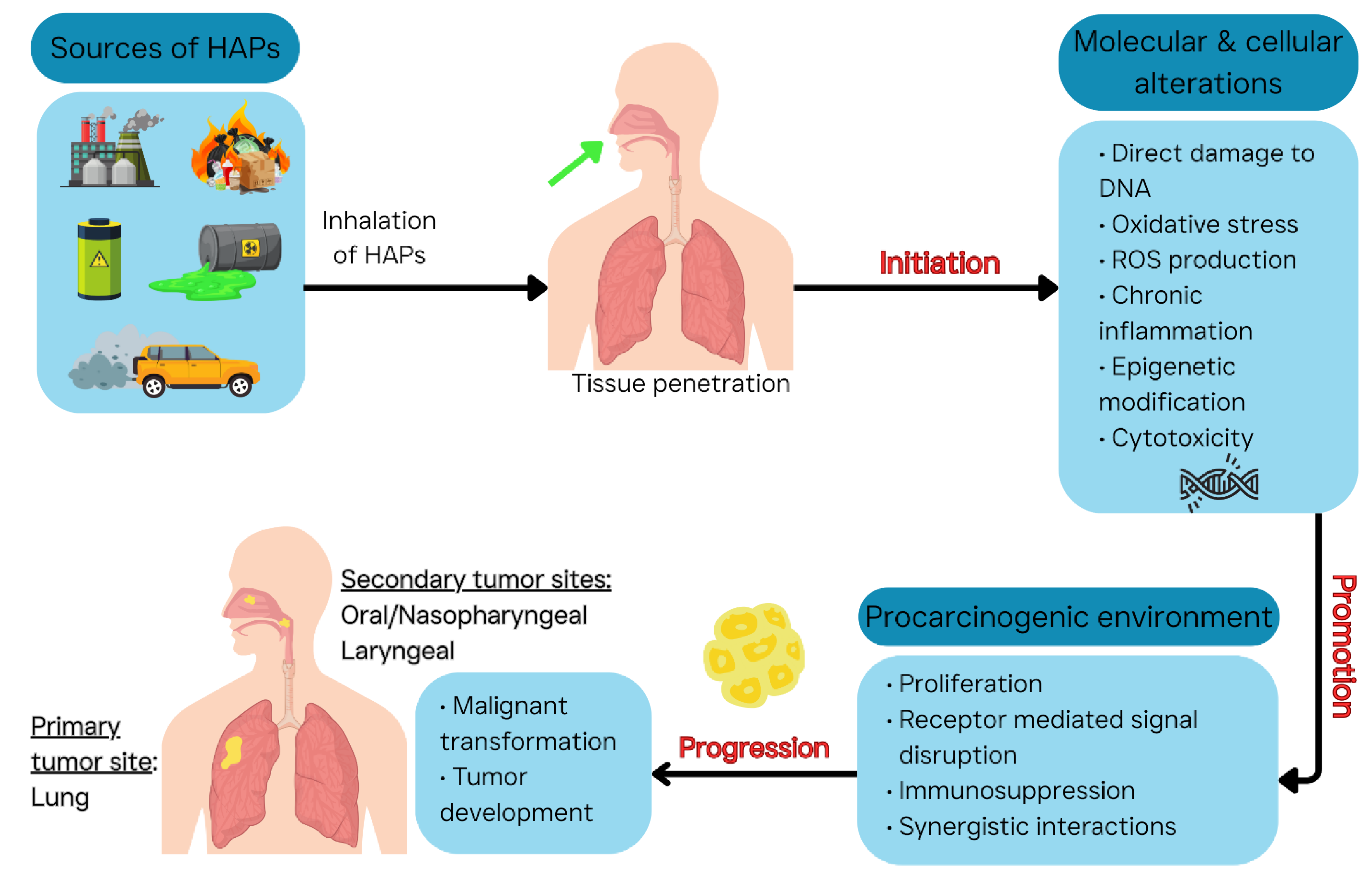Preprints 173286 g002