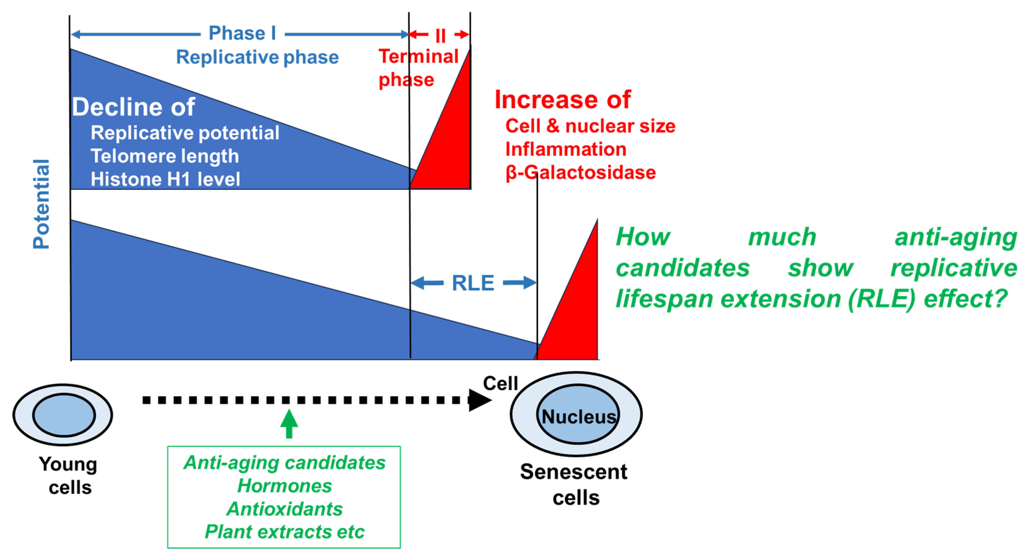 Preprints 192080 g001