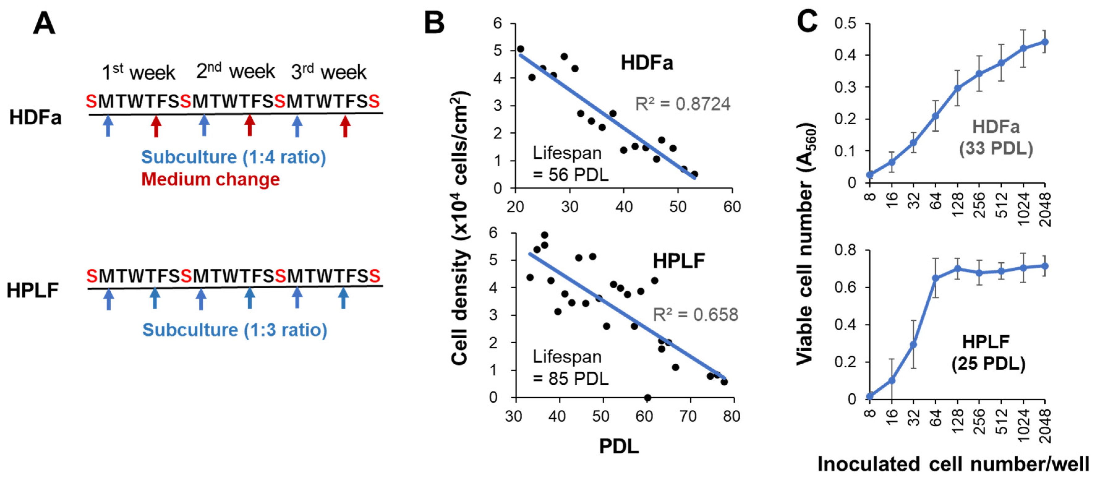 Preprints 192080 g002