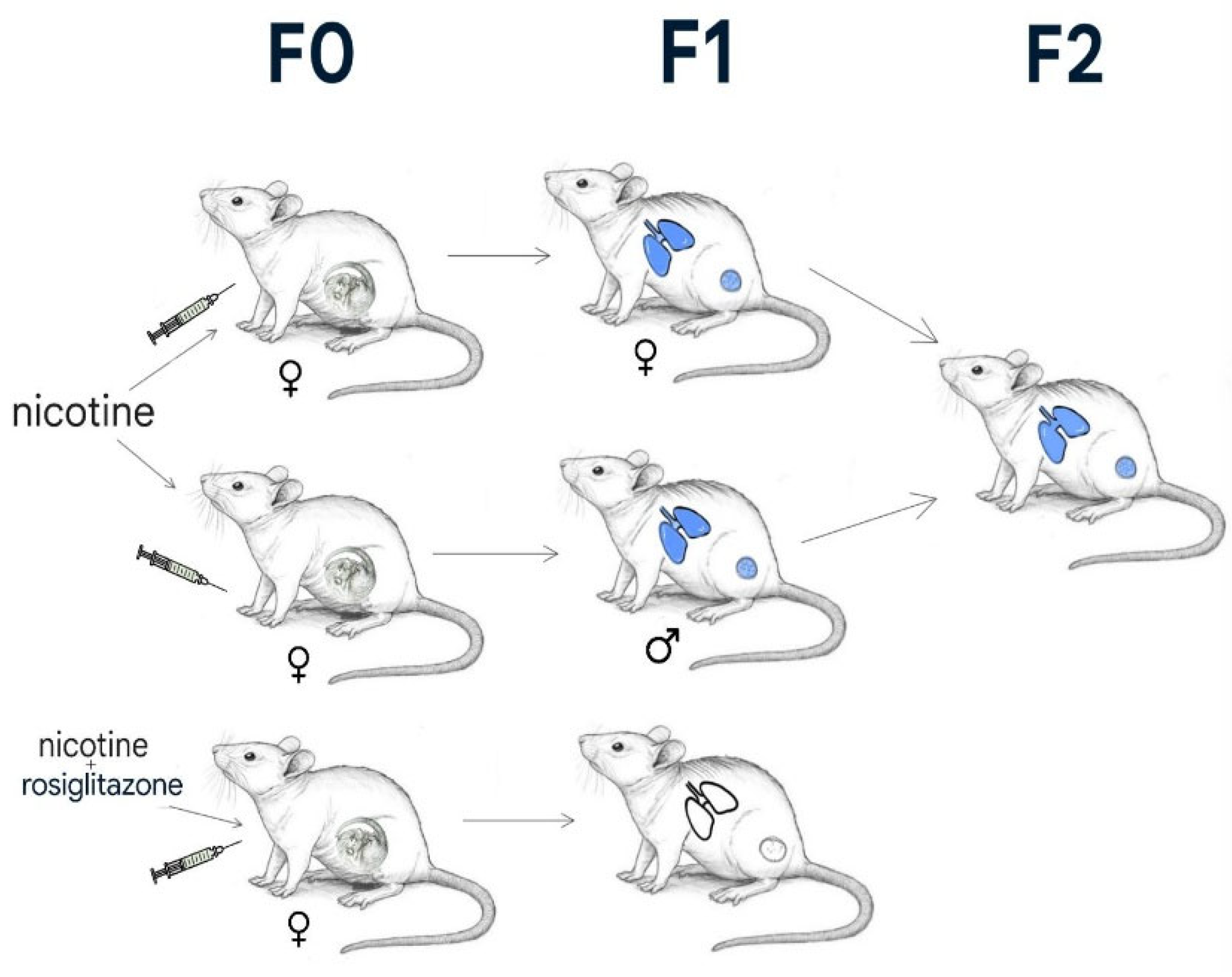 Preprints 177488 g001