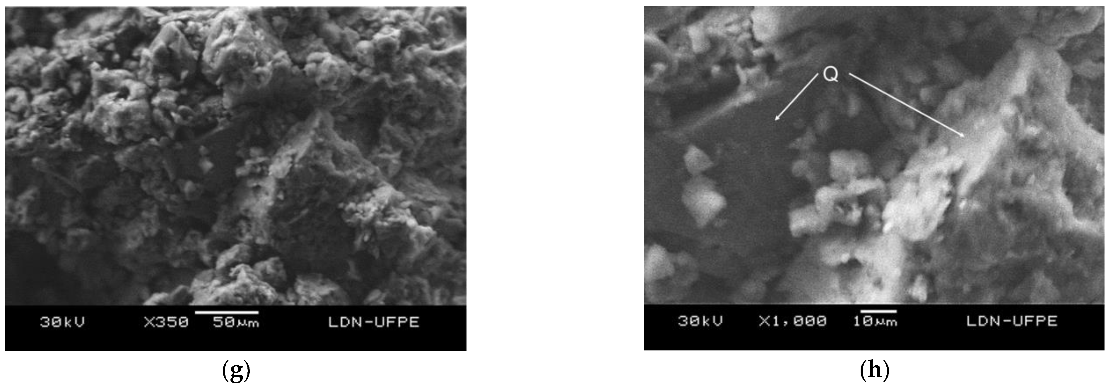 Preprints 69910 g007b