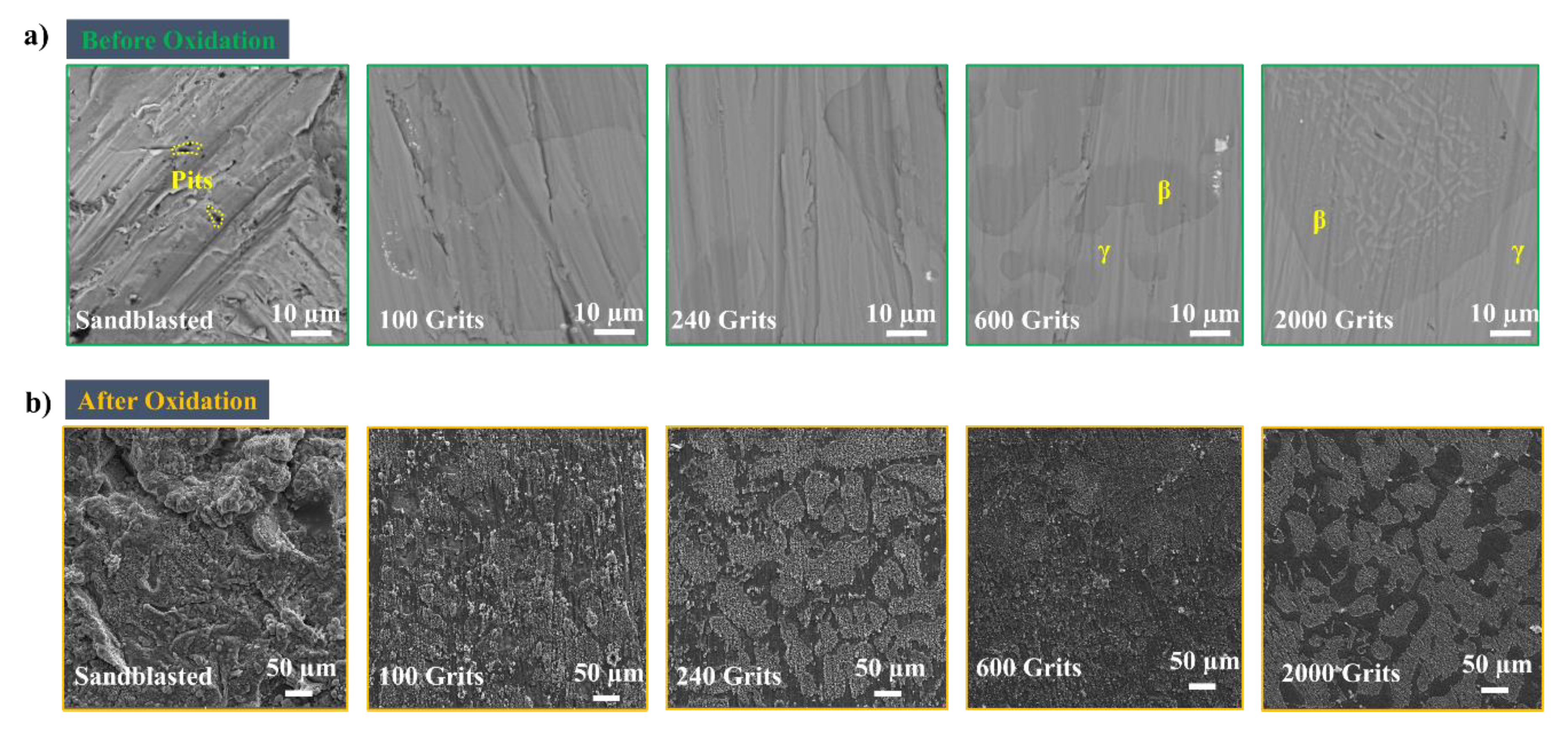 Preprints 73111 g005