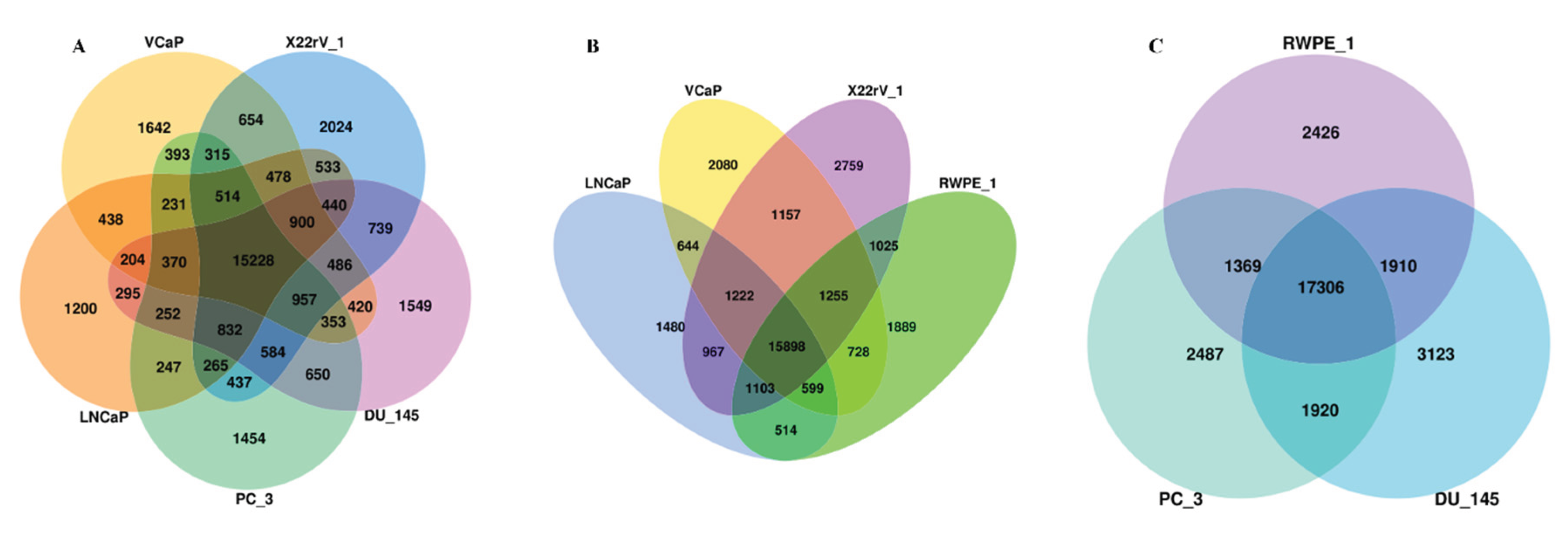 Preprints 207271 g003