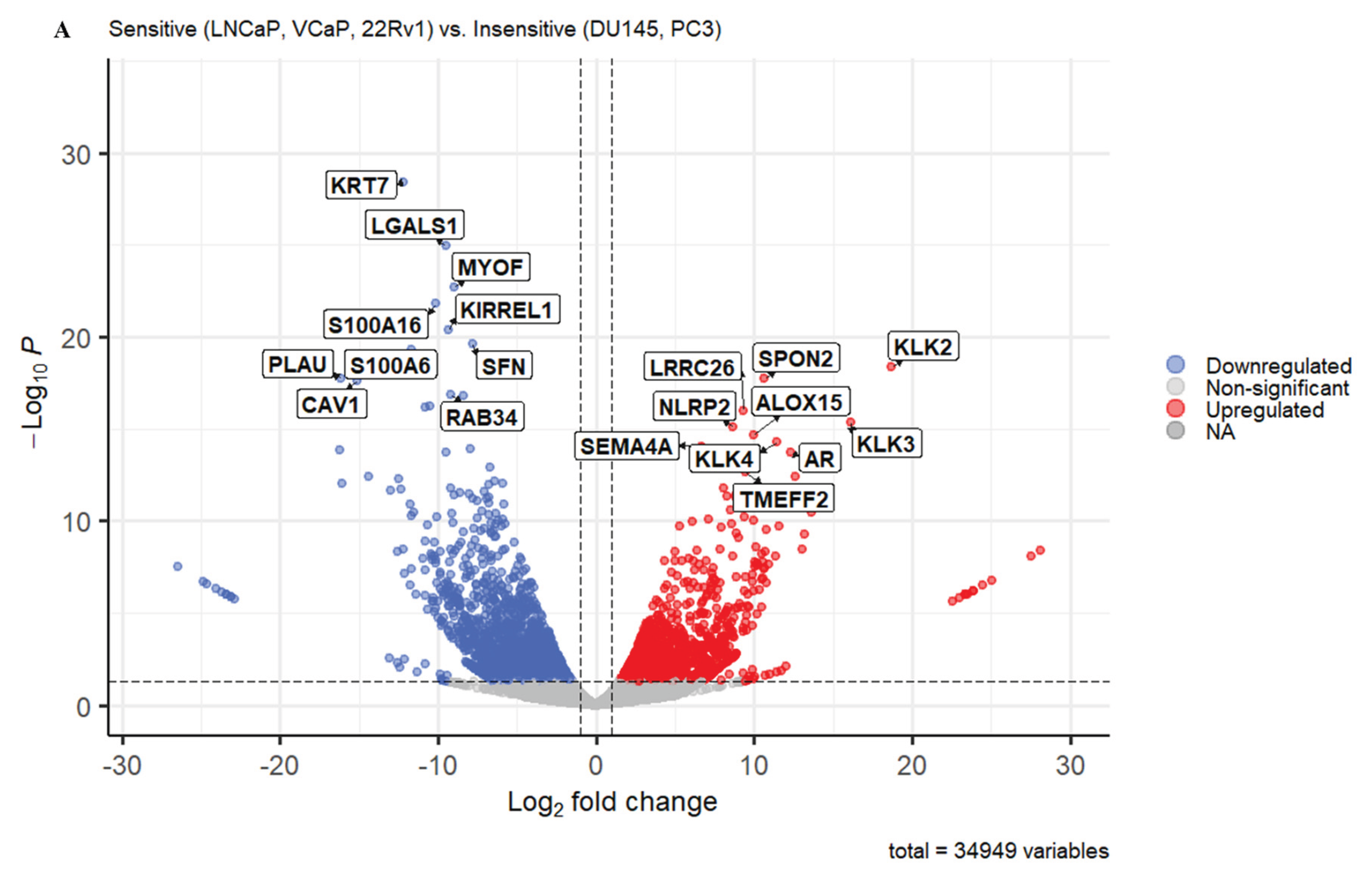 Preprints 207271 g006a