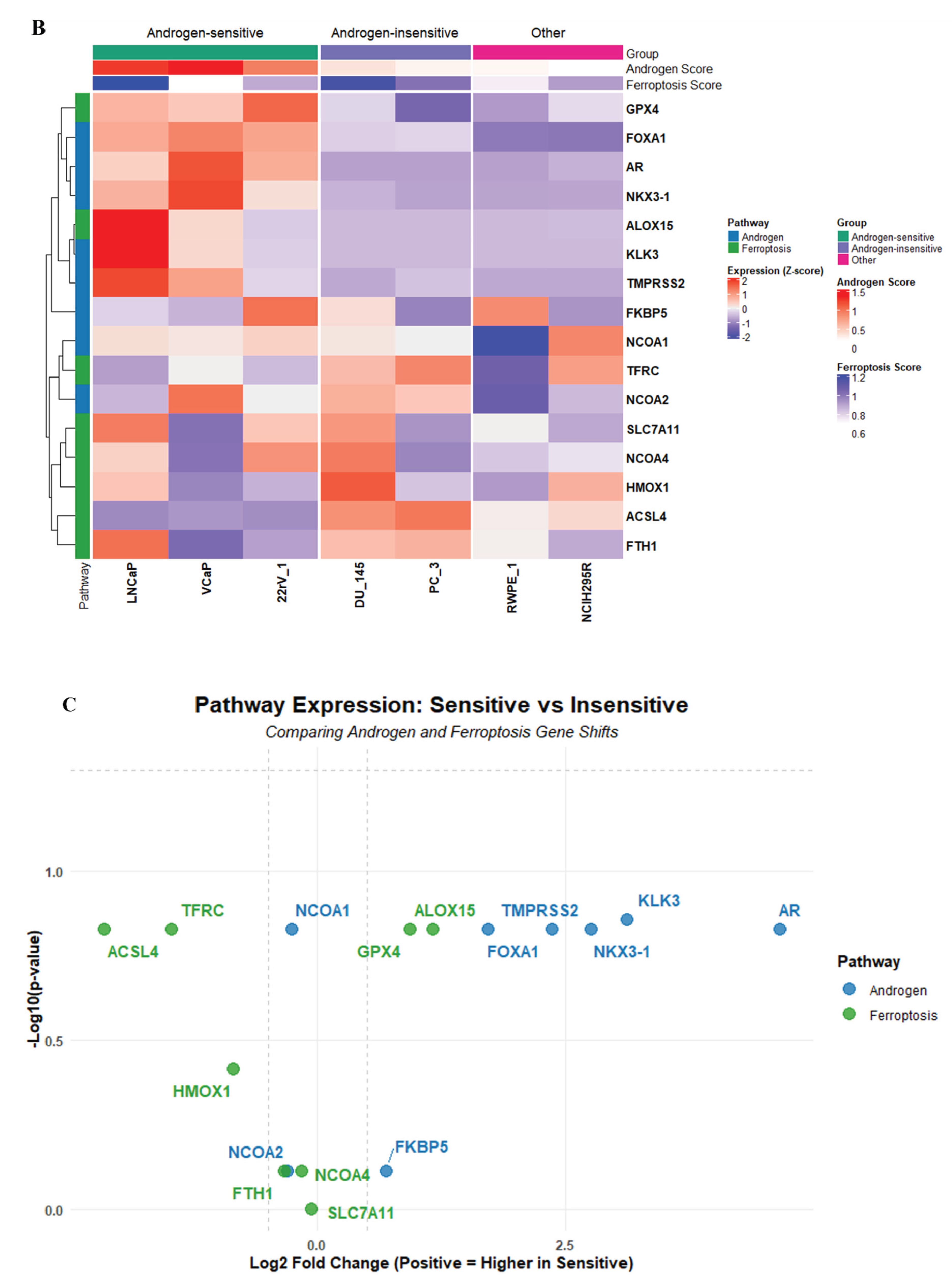 Preprints 207271 g006b