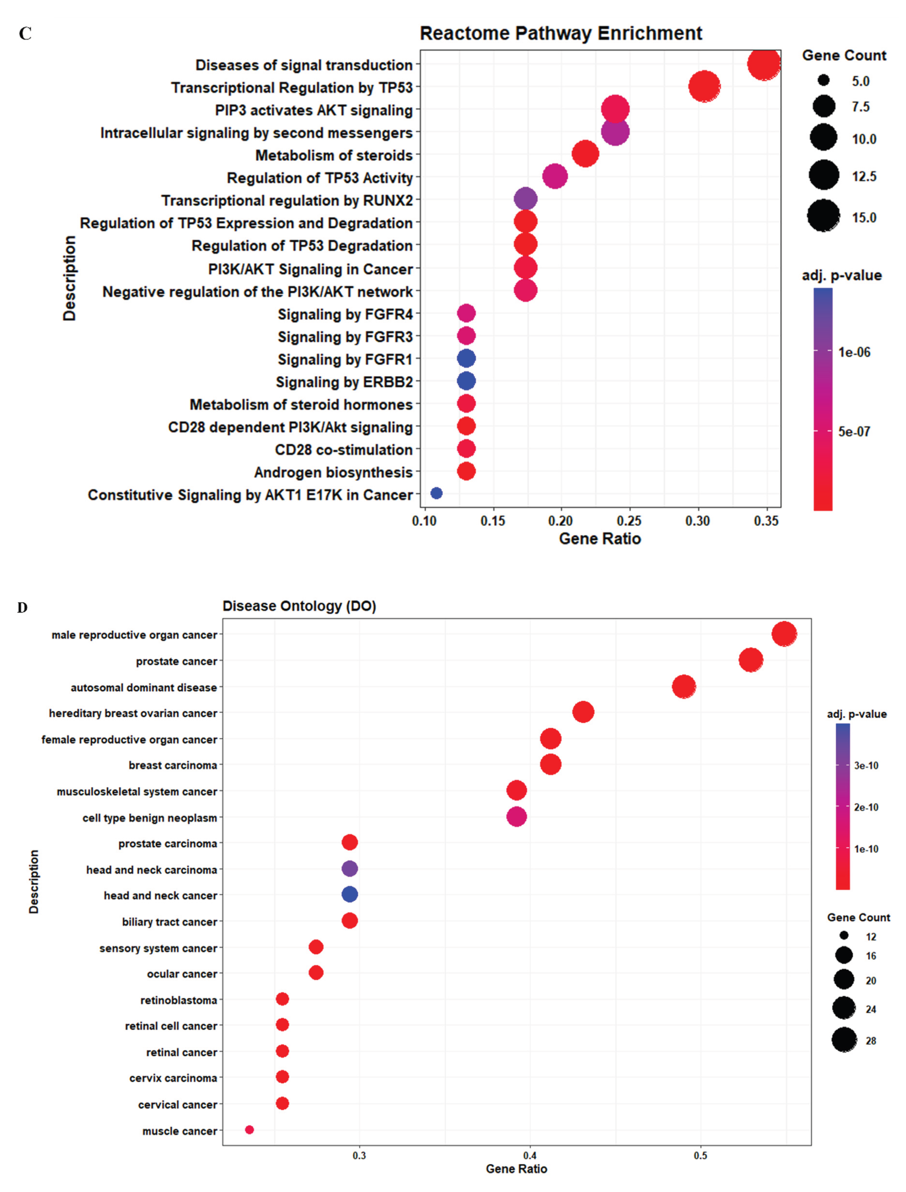Preprints 207271 g008b