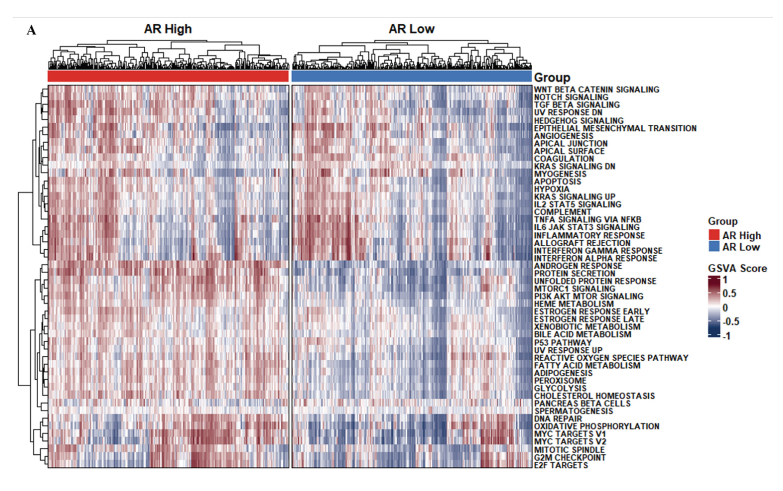 Preprints 207271 g010a