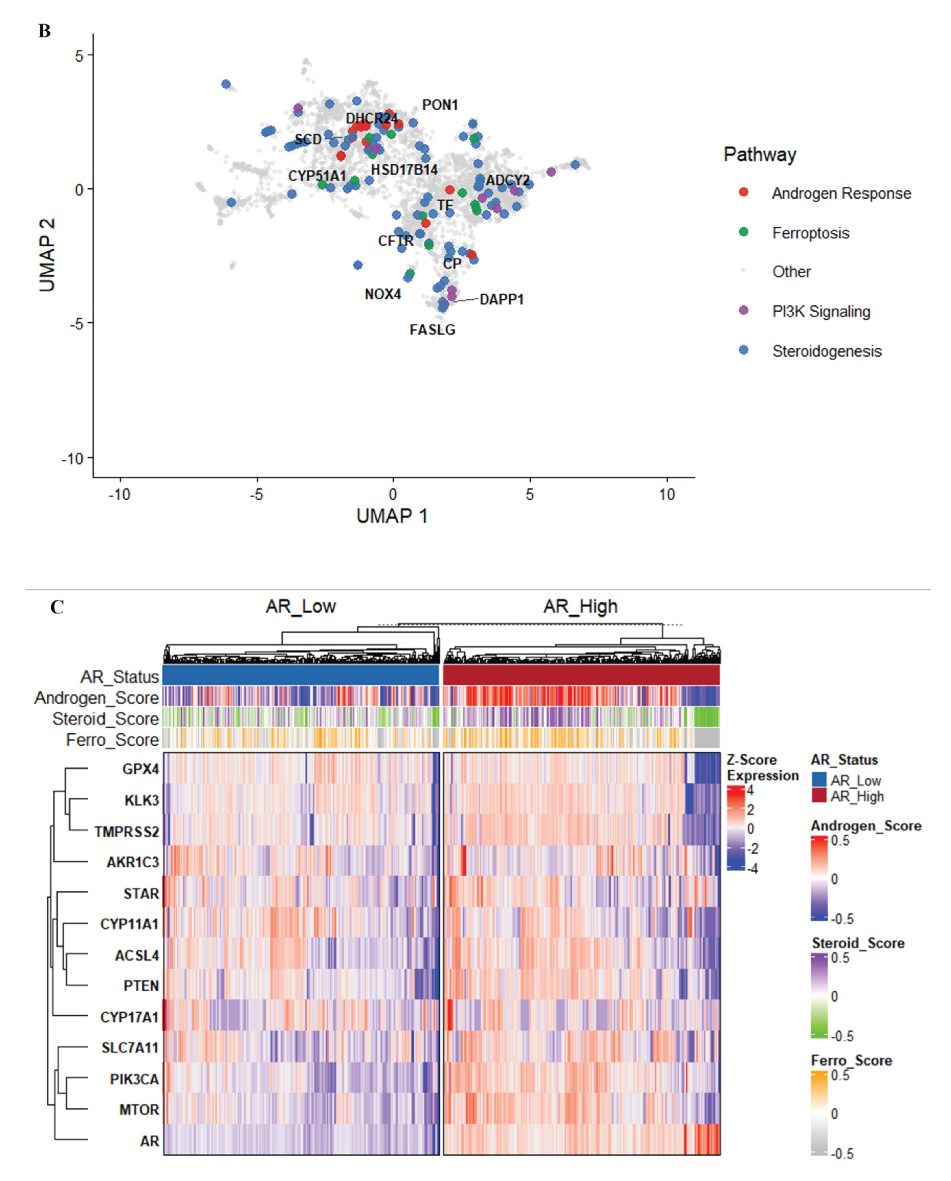 Preprints 207271 g010b