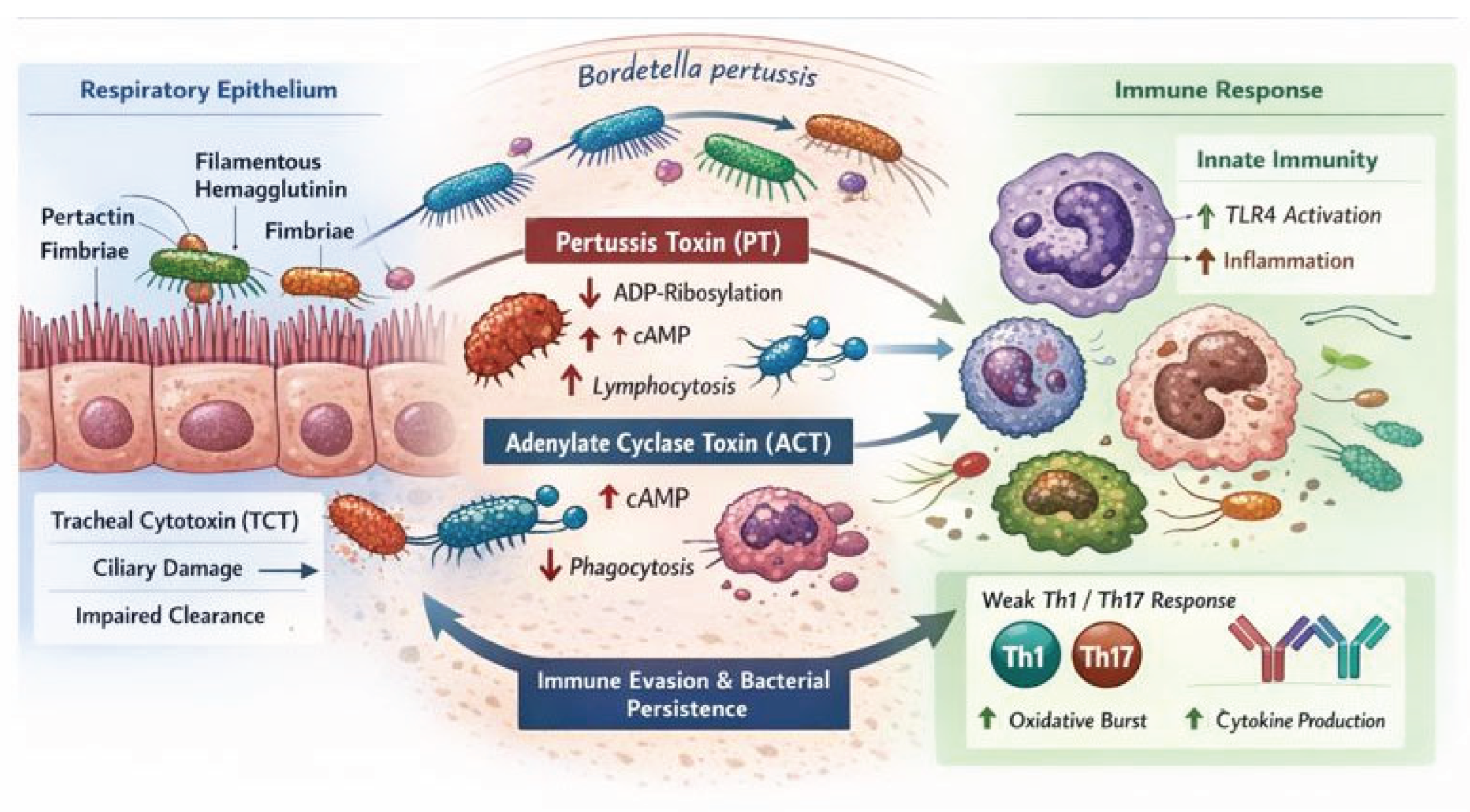 Preprints 198360 g001