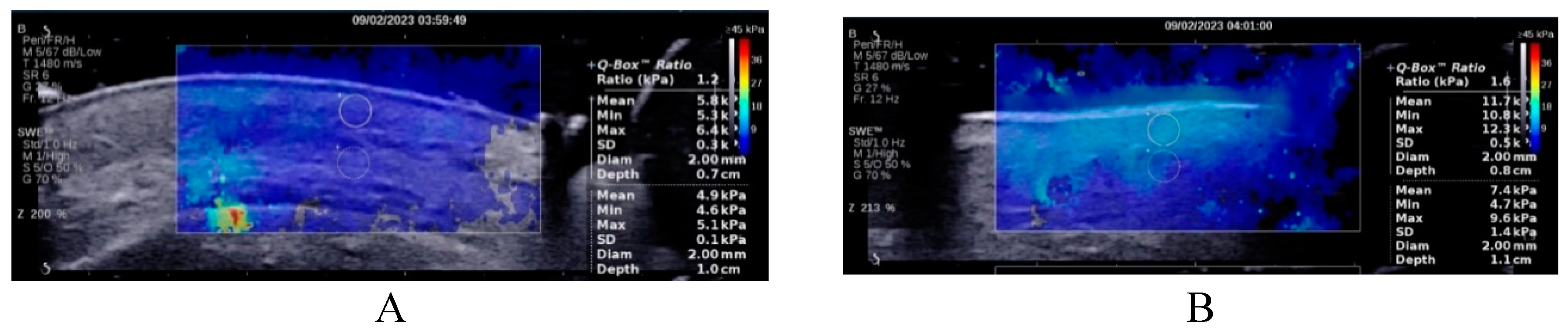 Preprints 80637 g001