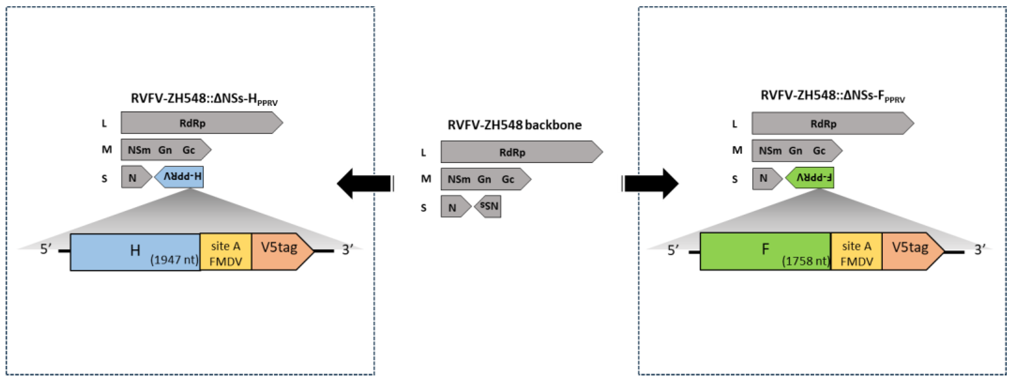 Preprints 166476 g001