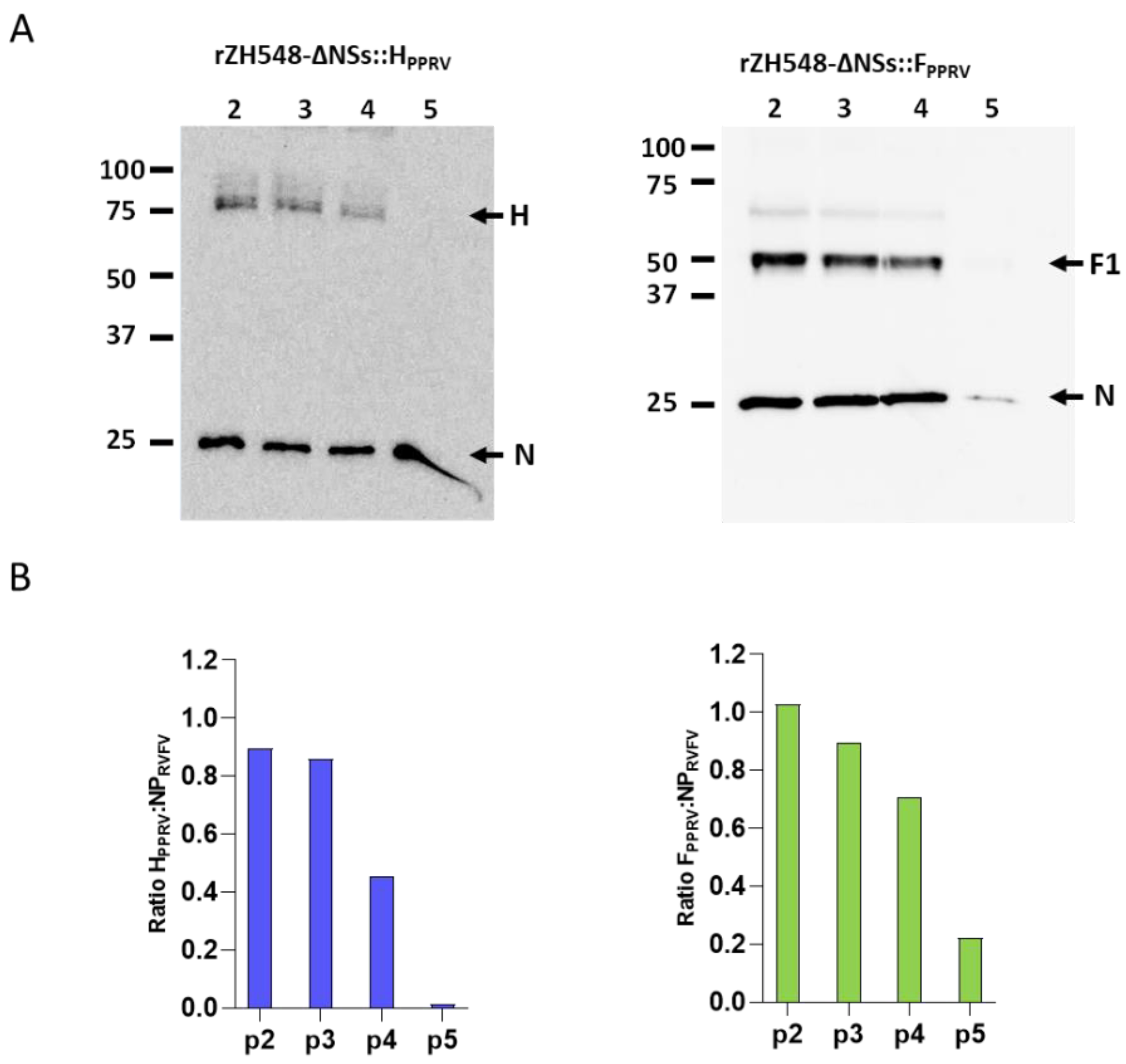 Preprints 166476 g004