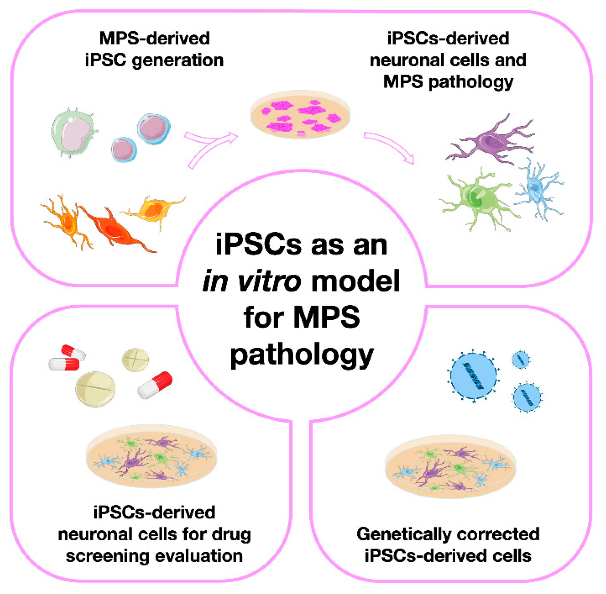 Preprints 70305 g001