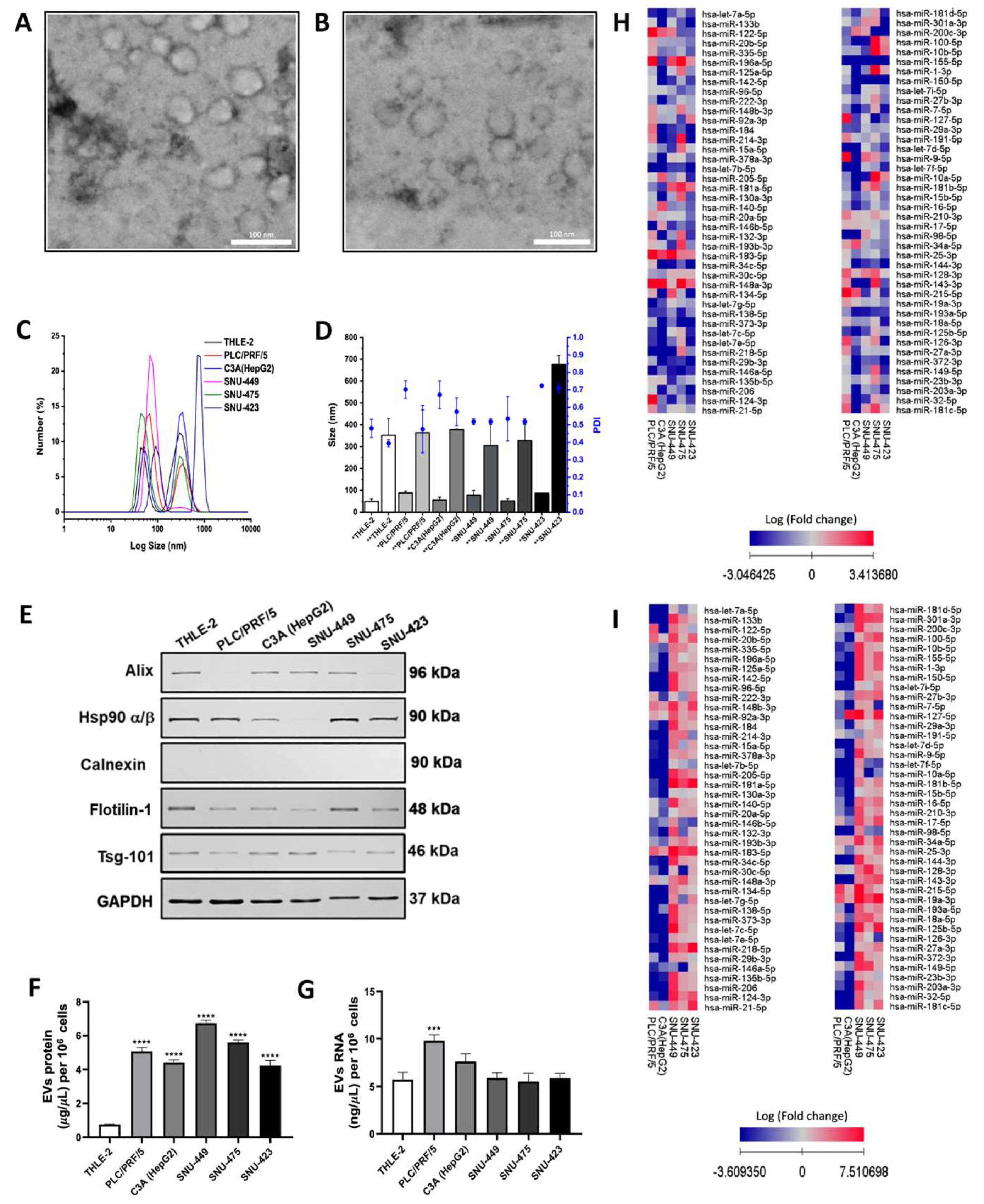 Preprints 141771 g001