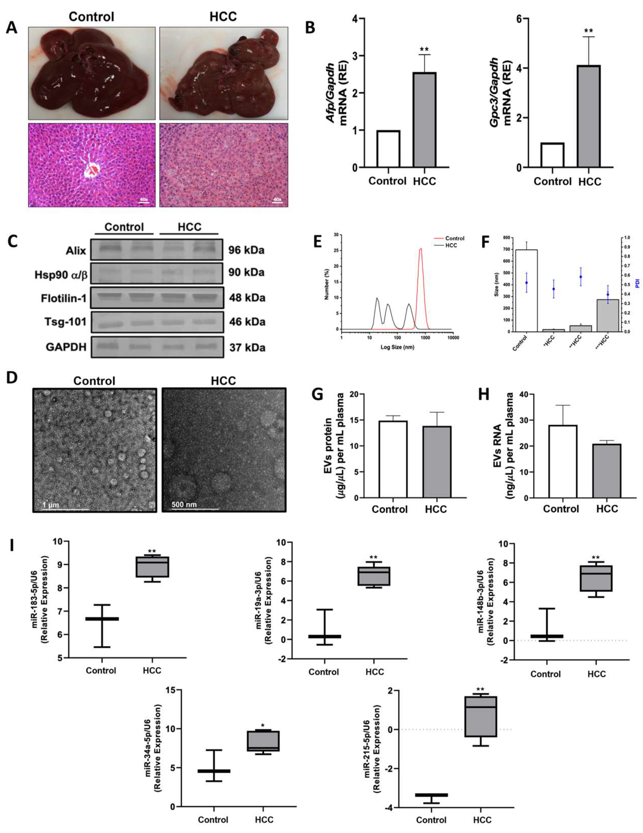 Preprints 141771 g003