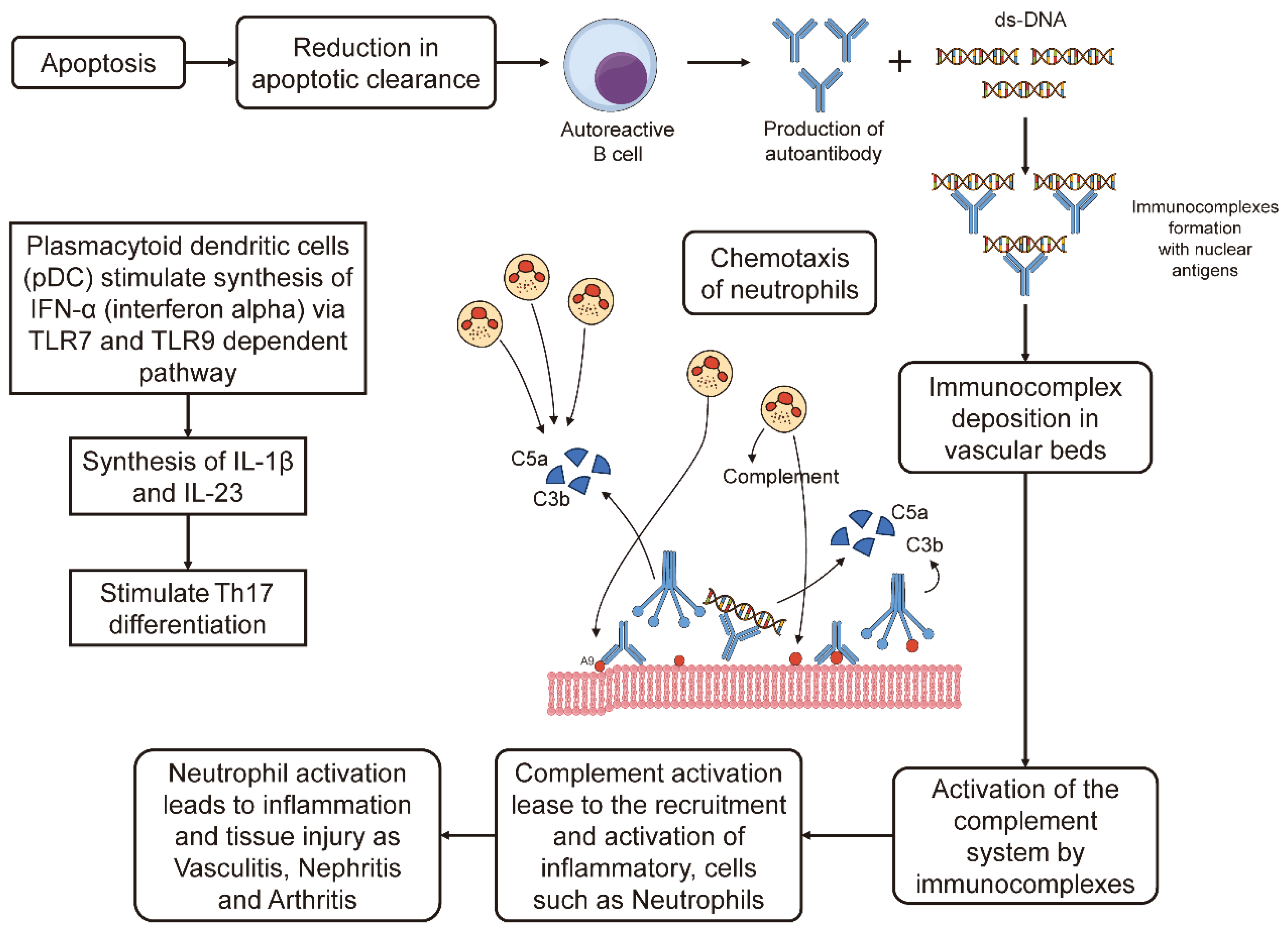 Preprints 143560 g002