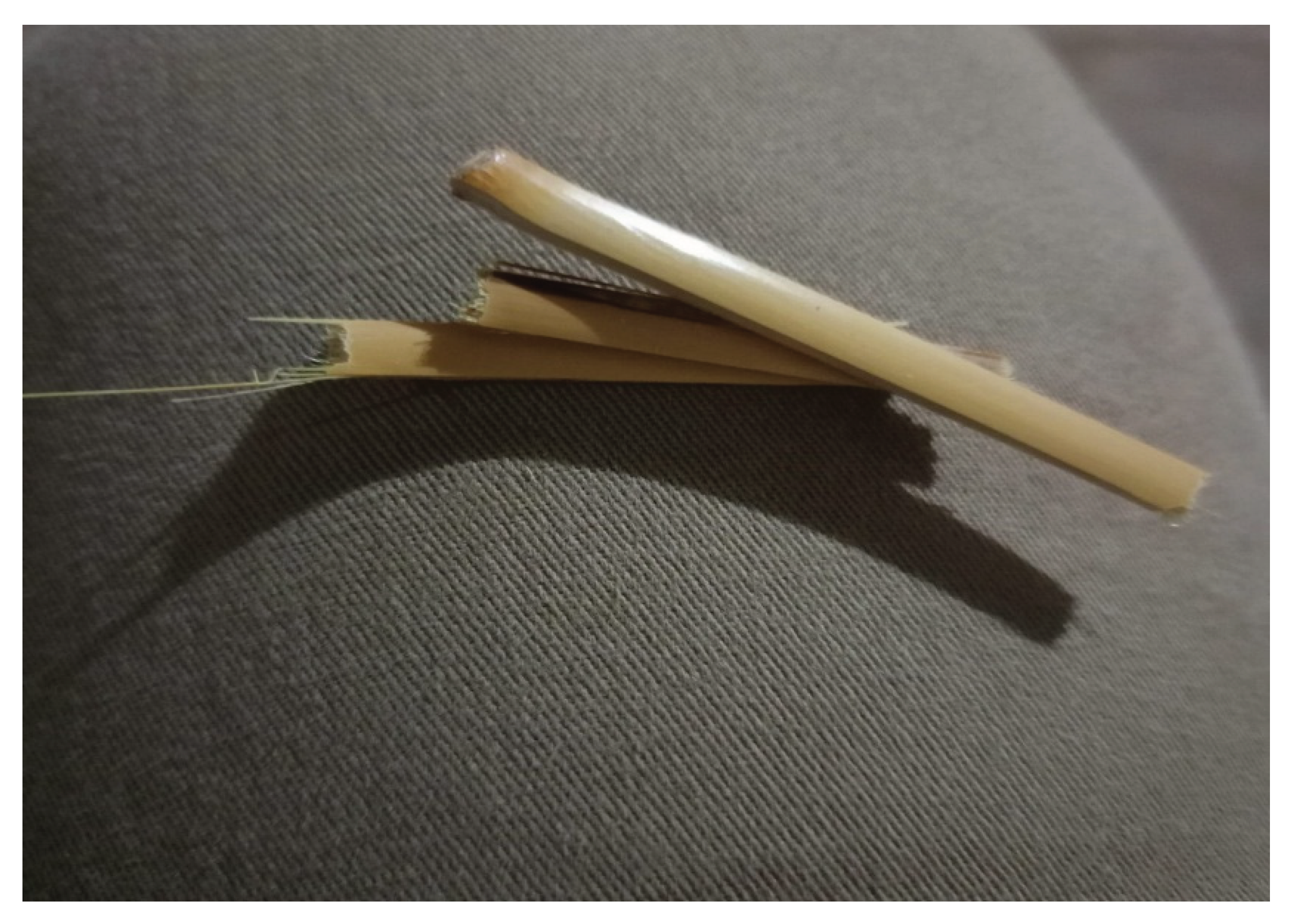 Preprints 177087 g001