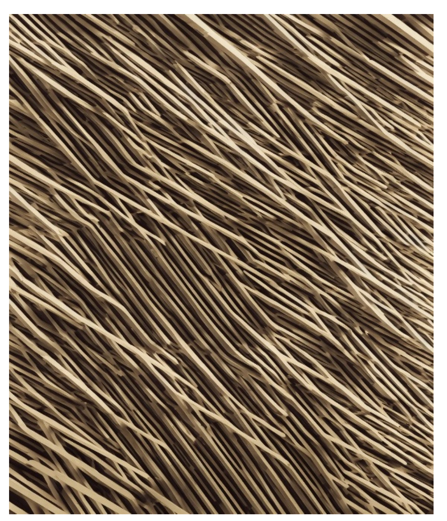 Preprints 177087 g007