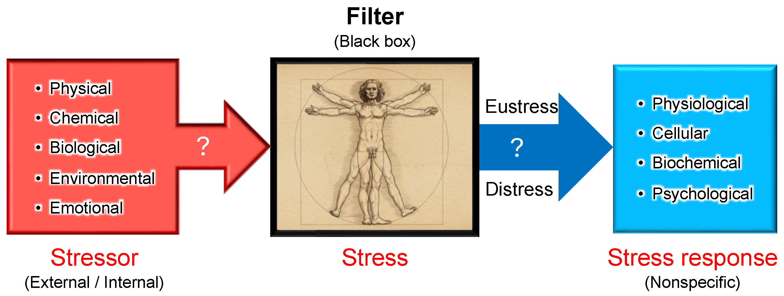Preprints 153656 g004