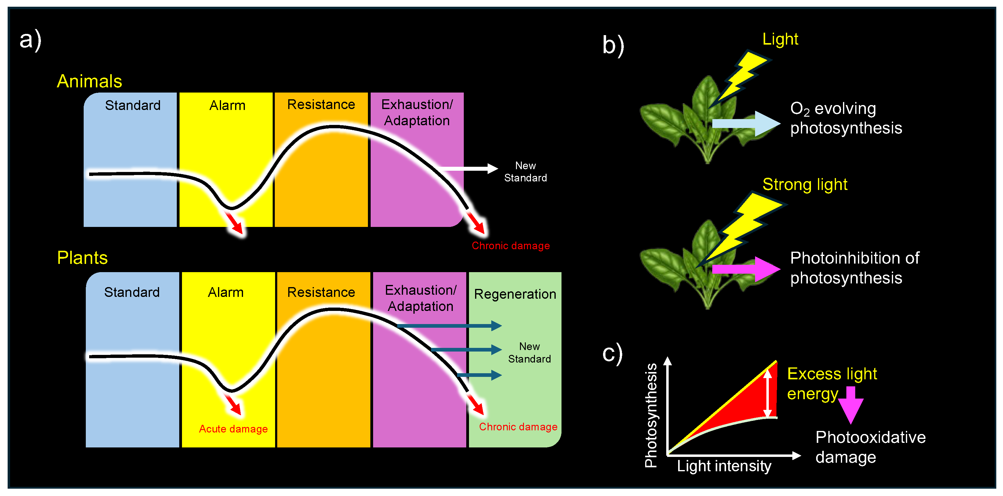 Preprints 153656 g006