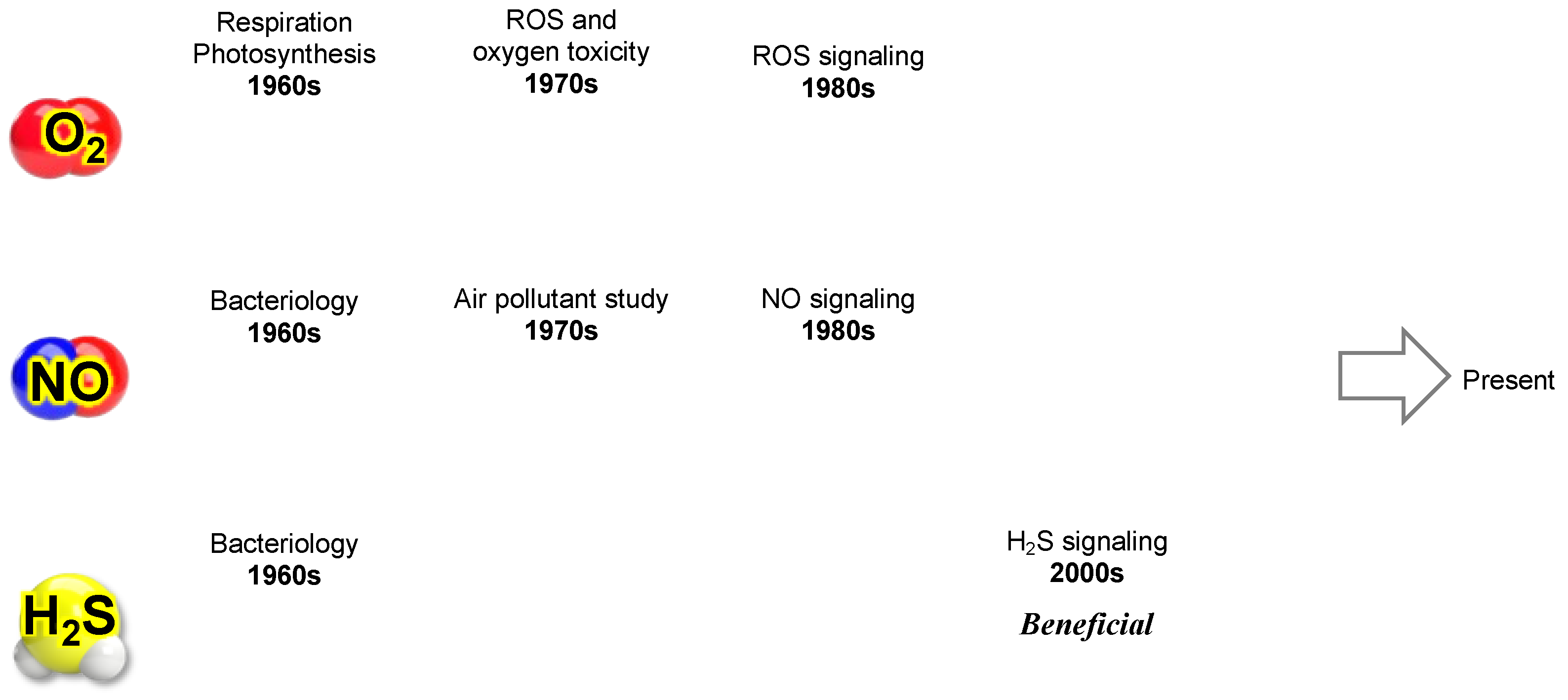 Preprints 153656 g007