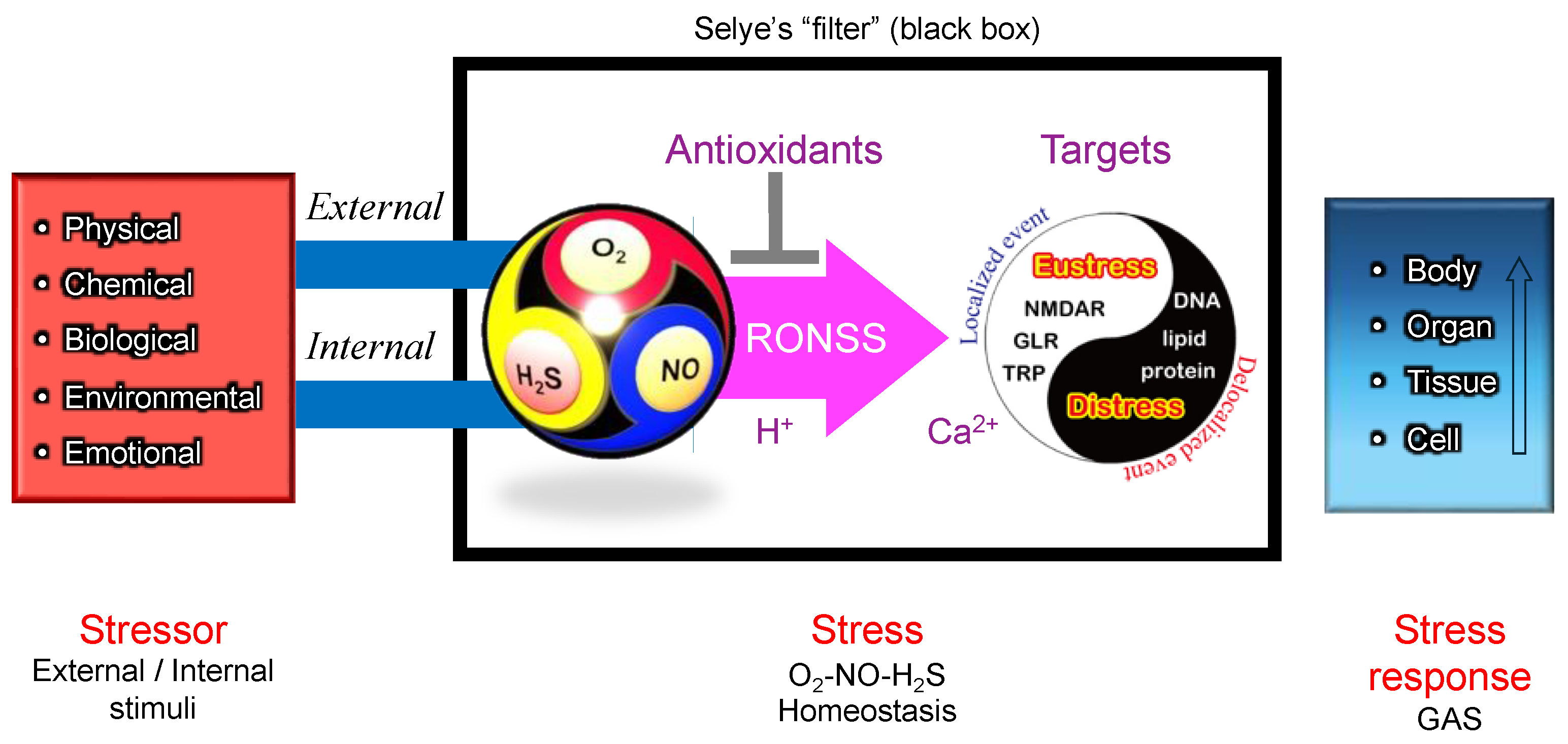 Preprints 153656 g008