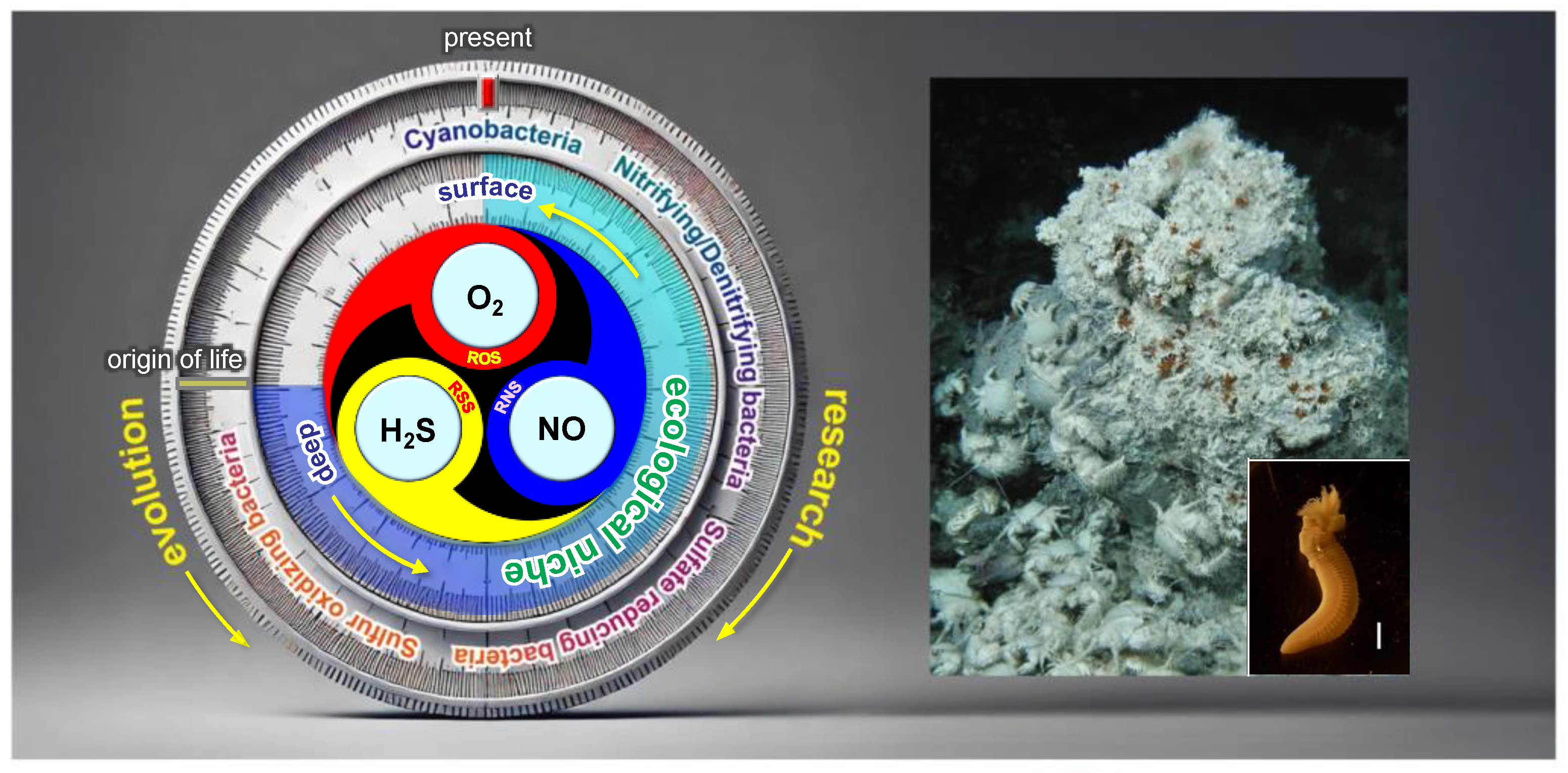 Preprints 153656 g010