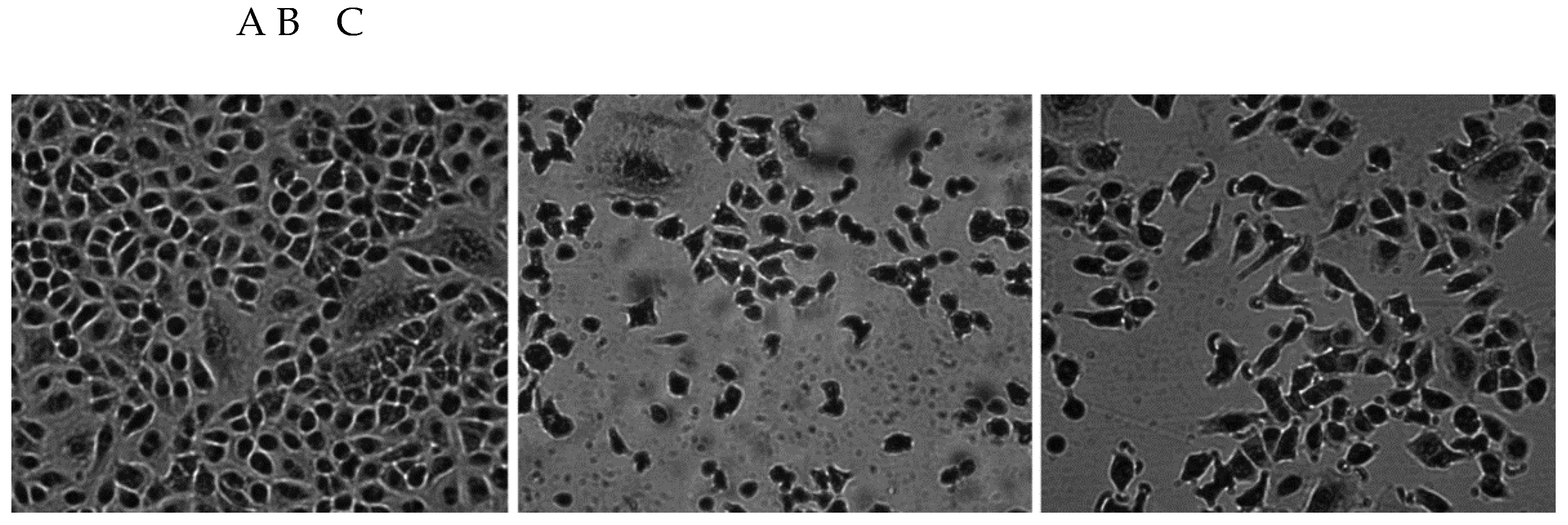 Preprints 177718 g001