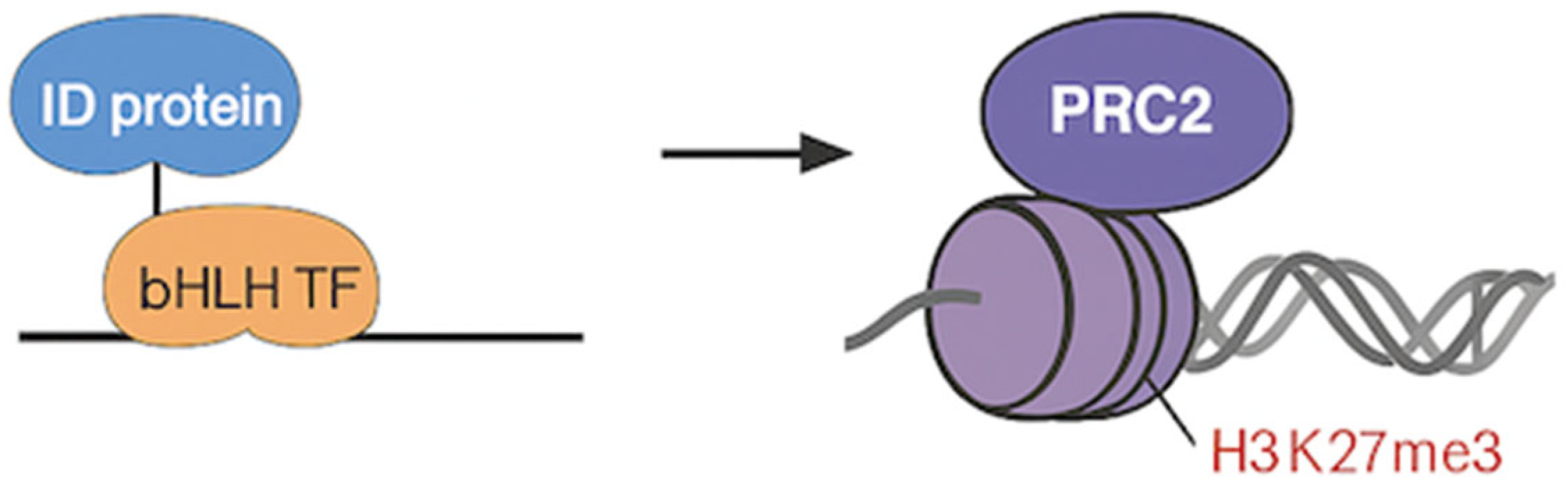 Preprints 160624 g001
