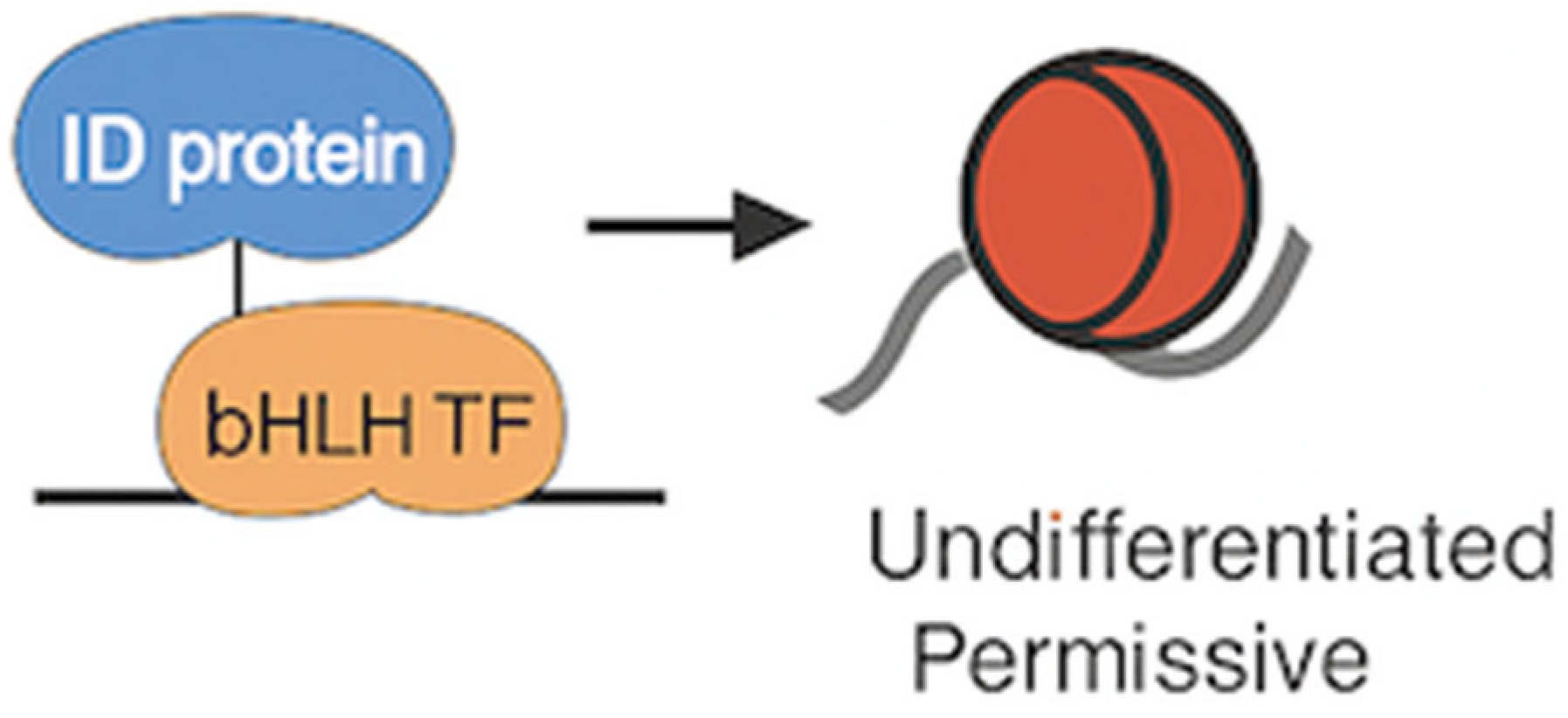 Preprints 160624 g002