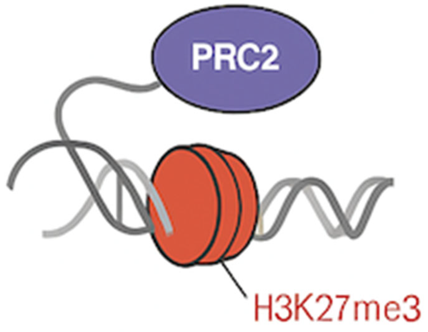 Preprints 160624 g003