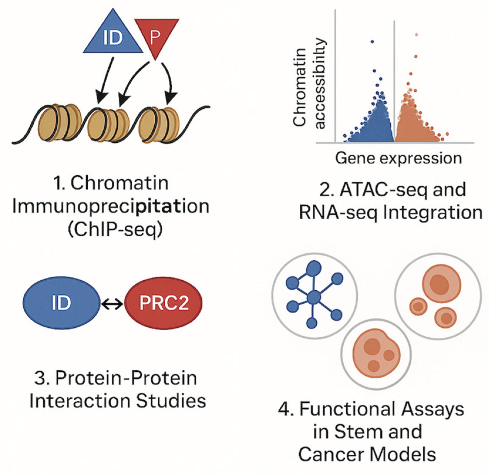 Preprints 160624 g006