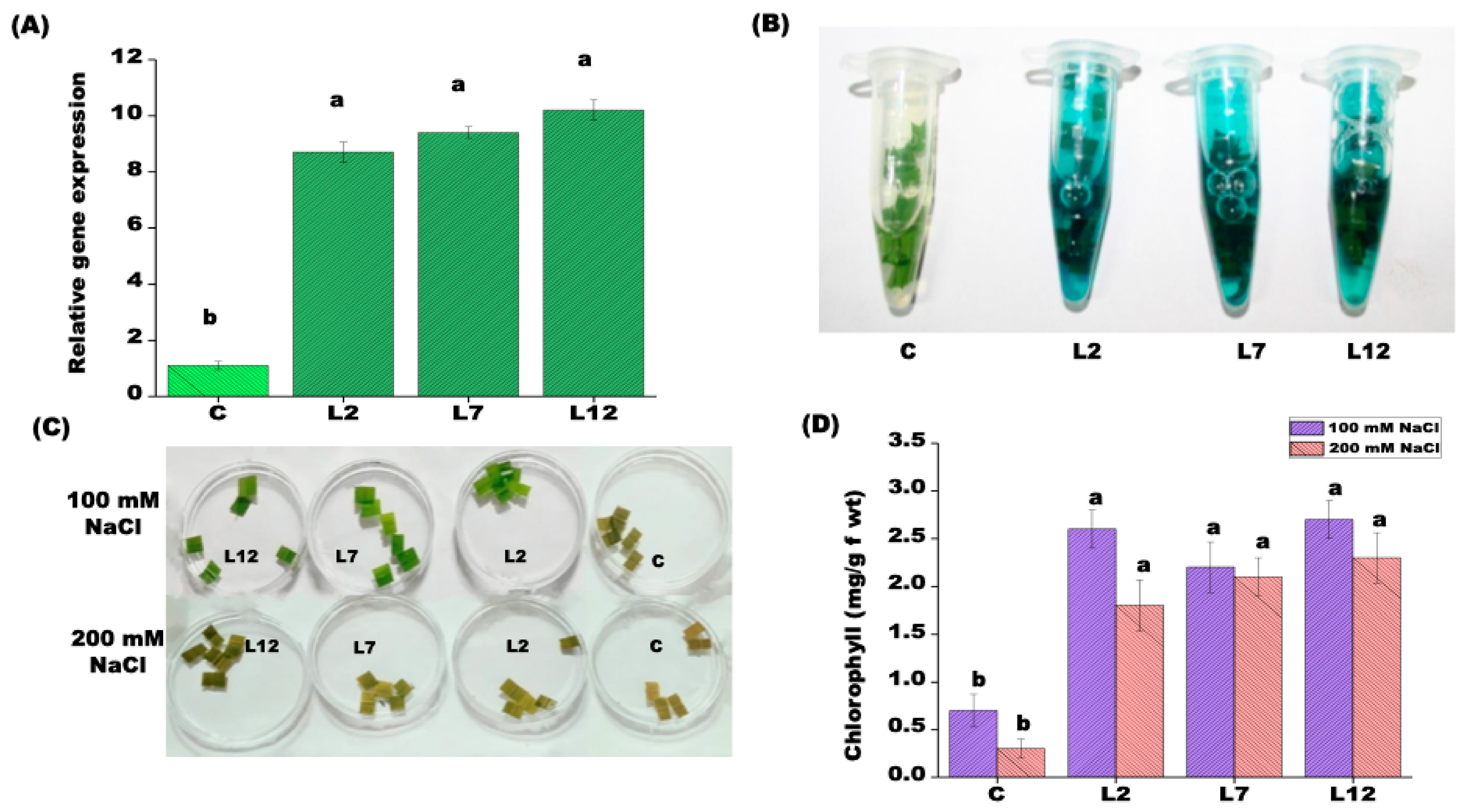 Preprints 202493 g002