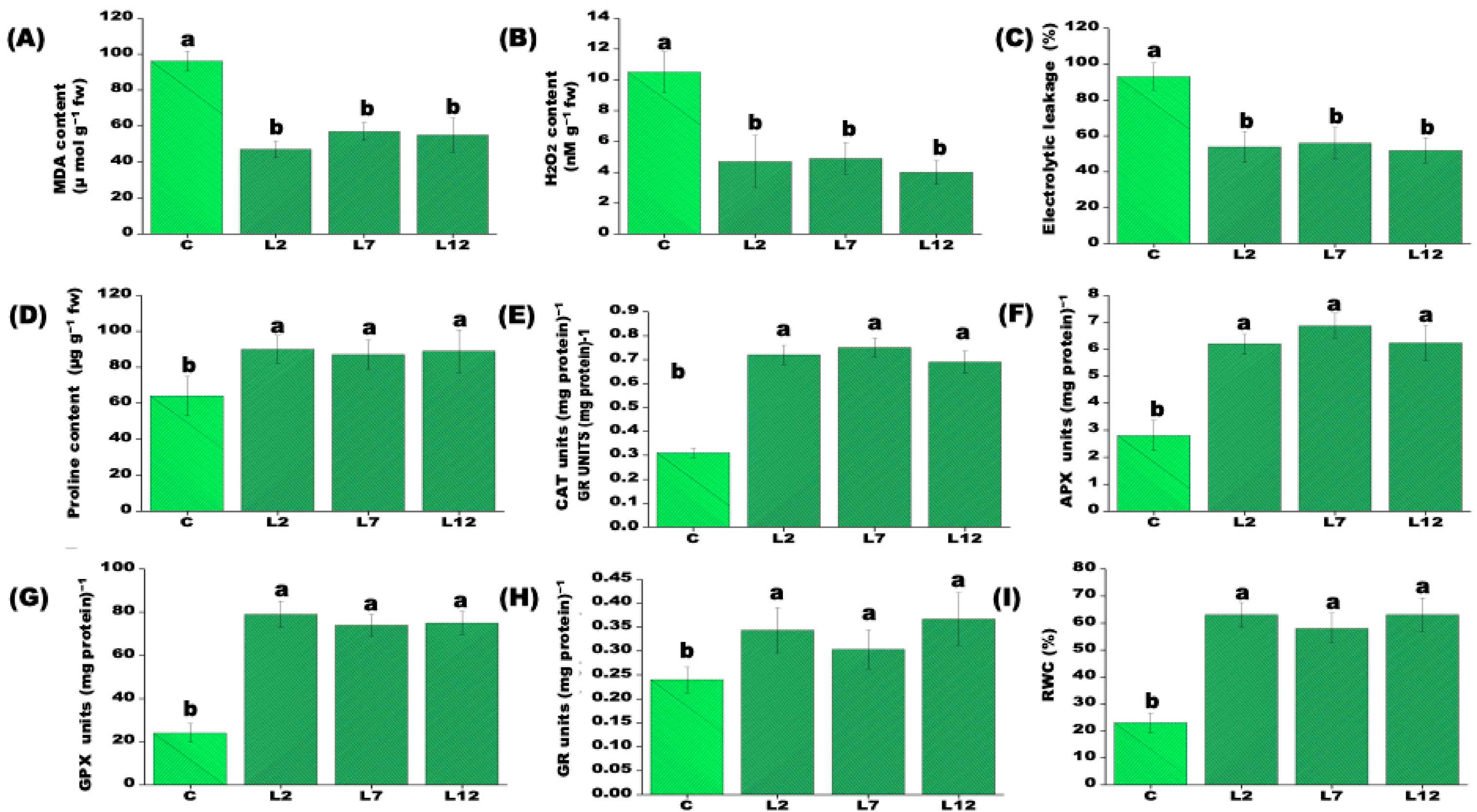 Preprints 202493 g003
