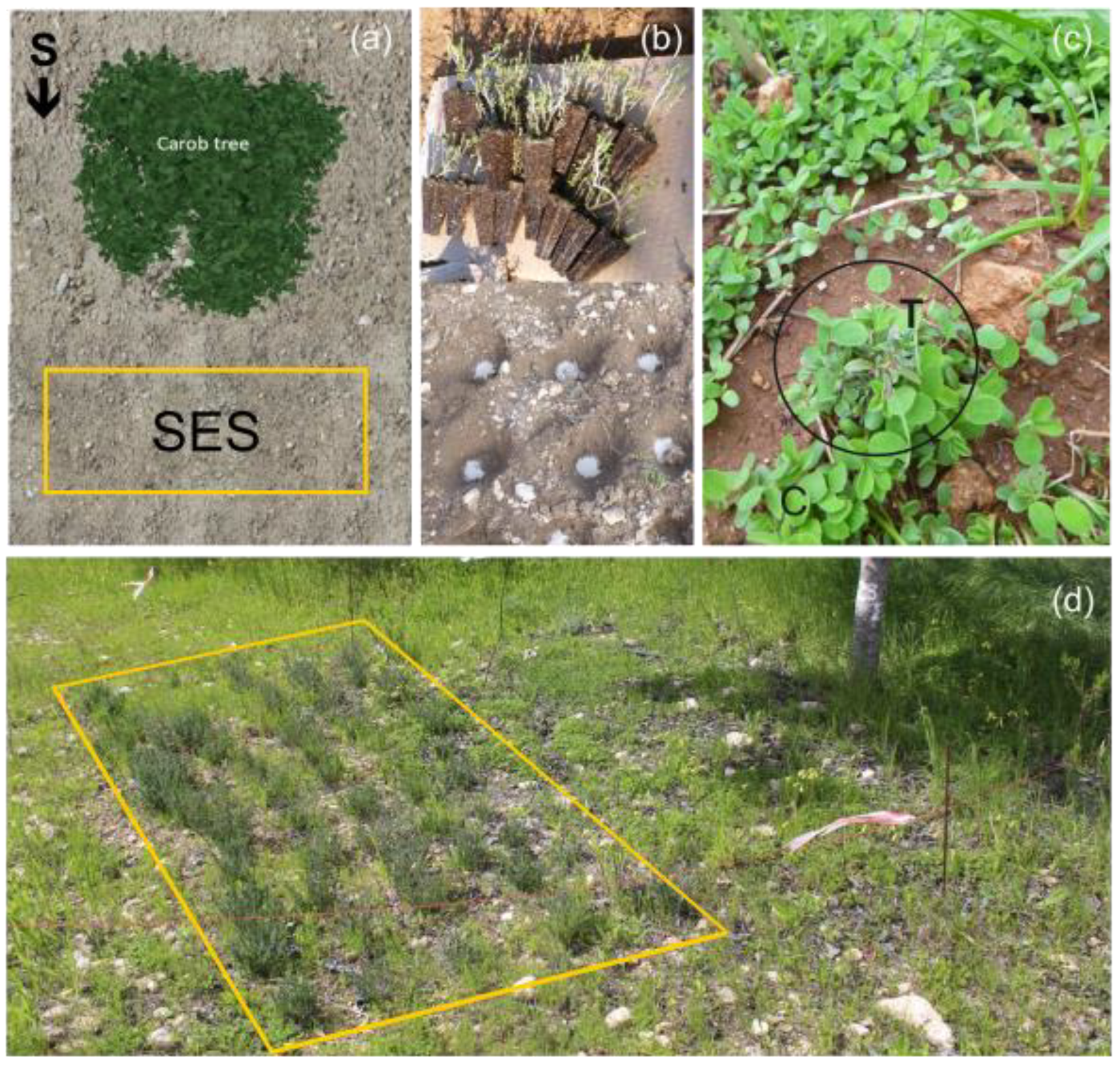 Preprints 160615 g002