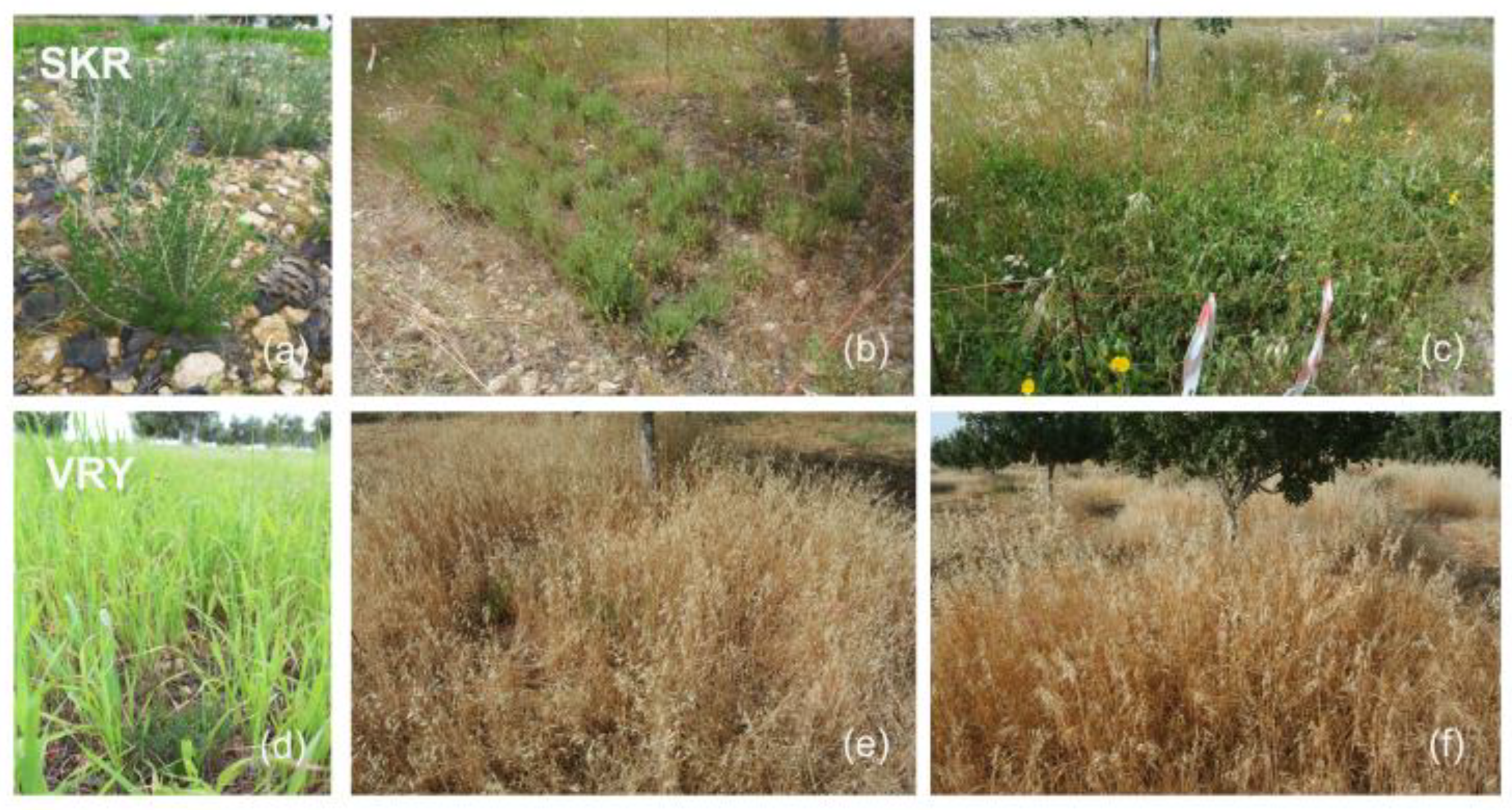 Preprints 160615 g003