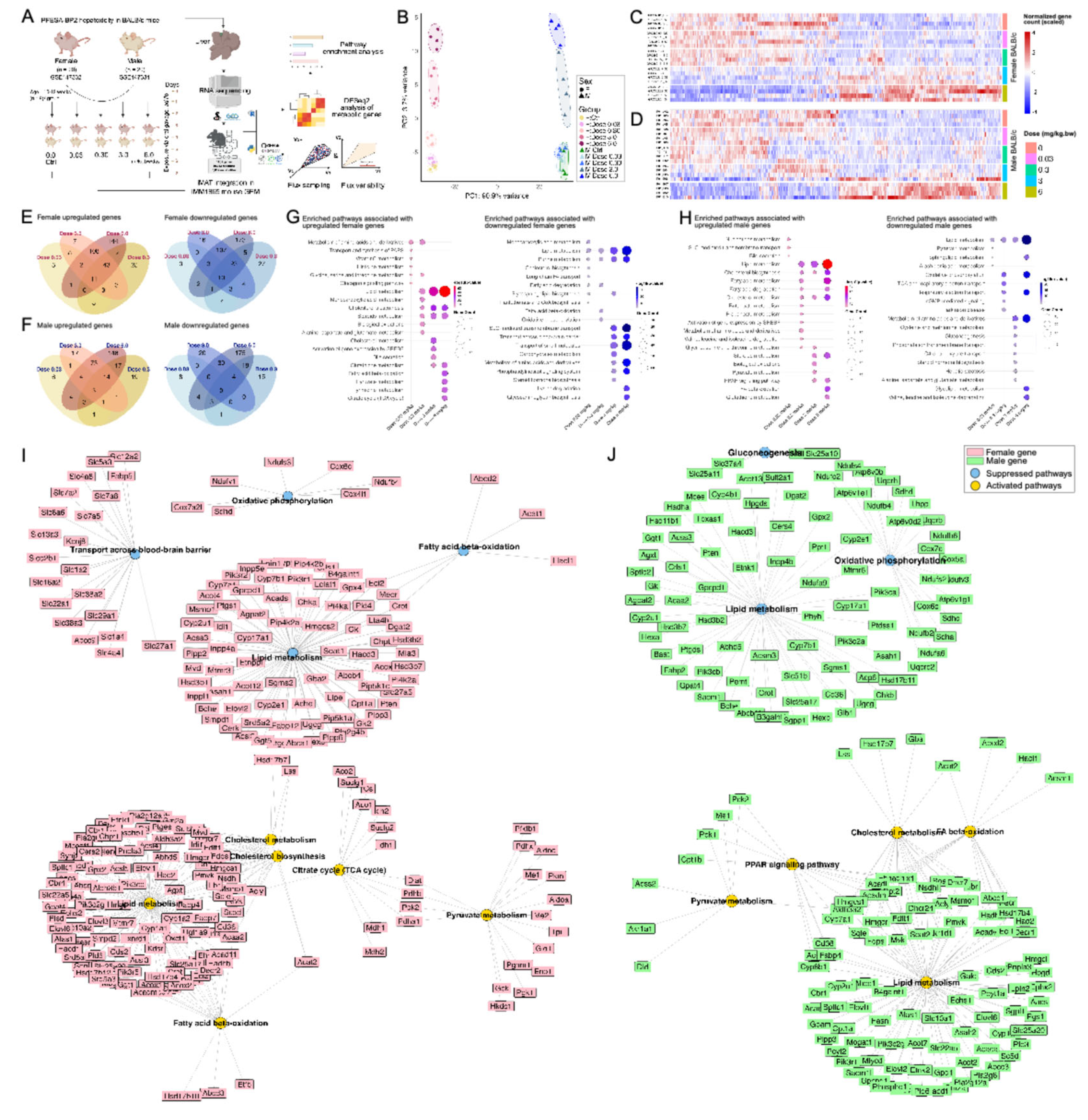 Preprints 162556 g001