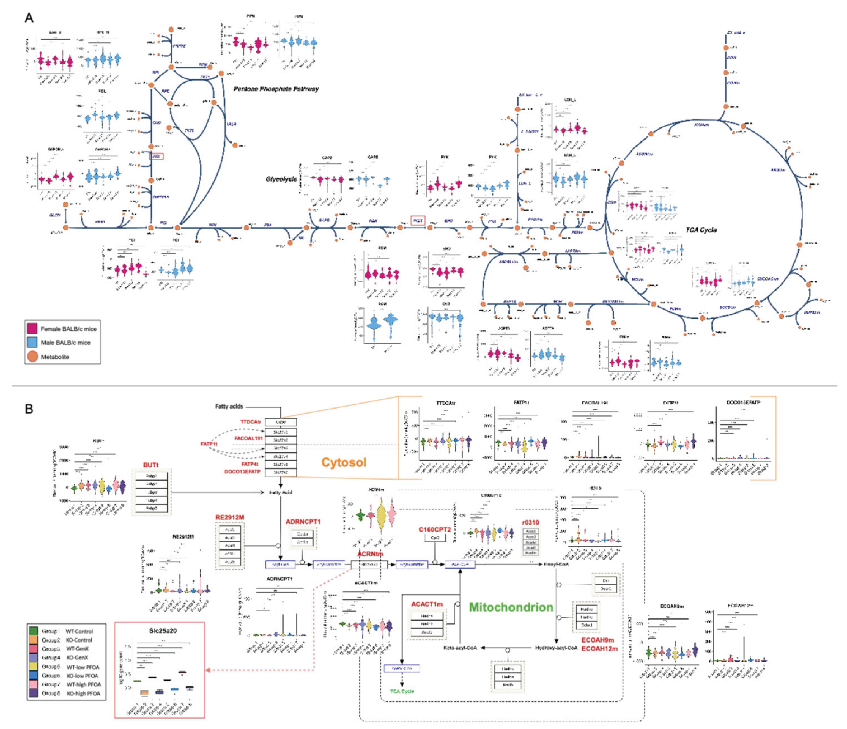 Preprints 162556 g005