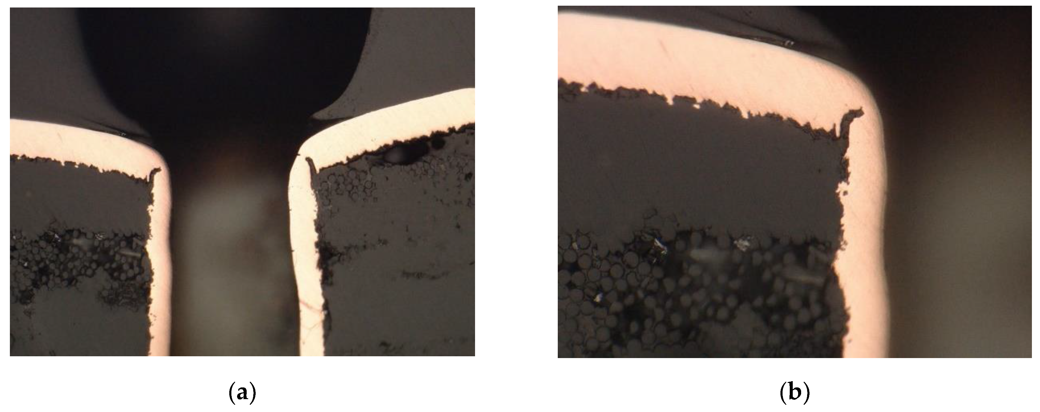 Preprints 142449 g013