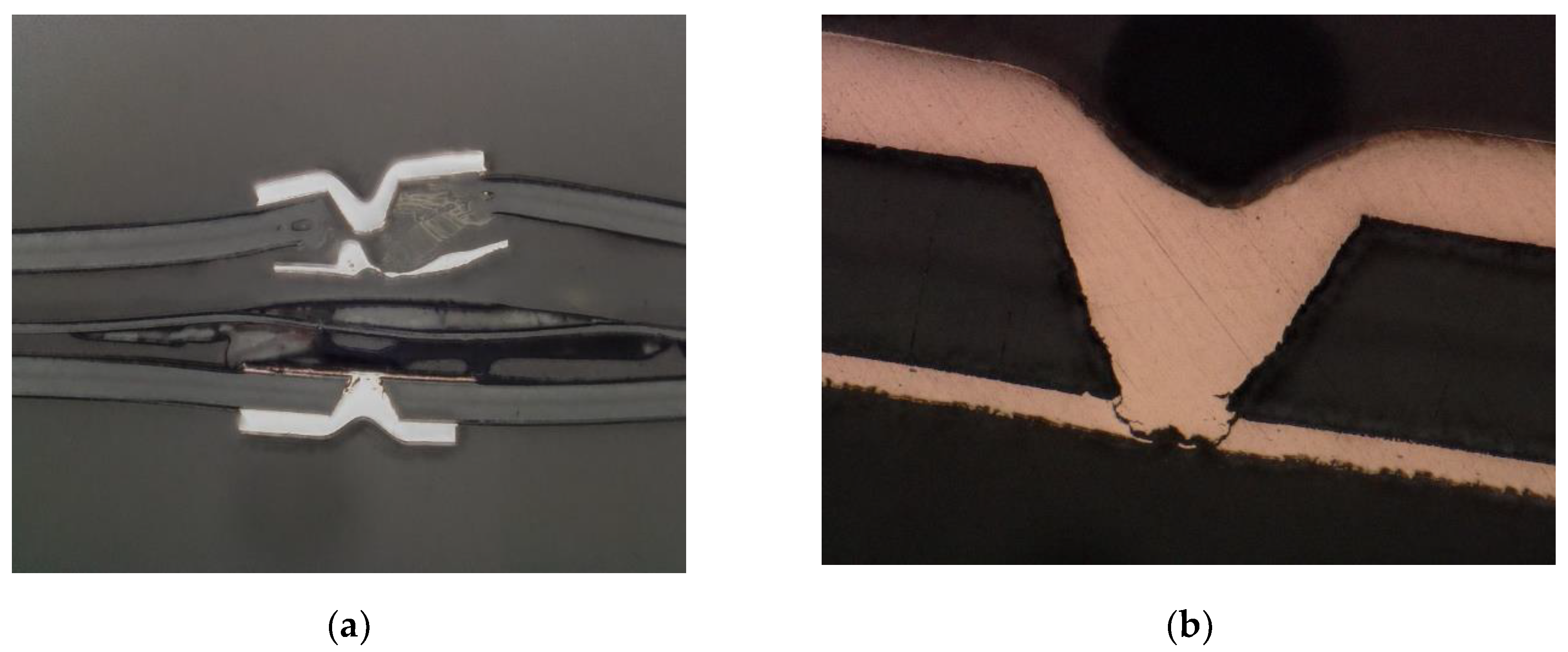 Preprints 142449 g014