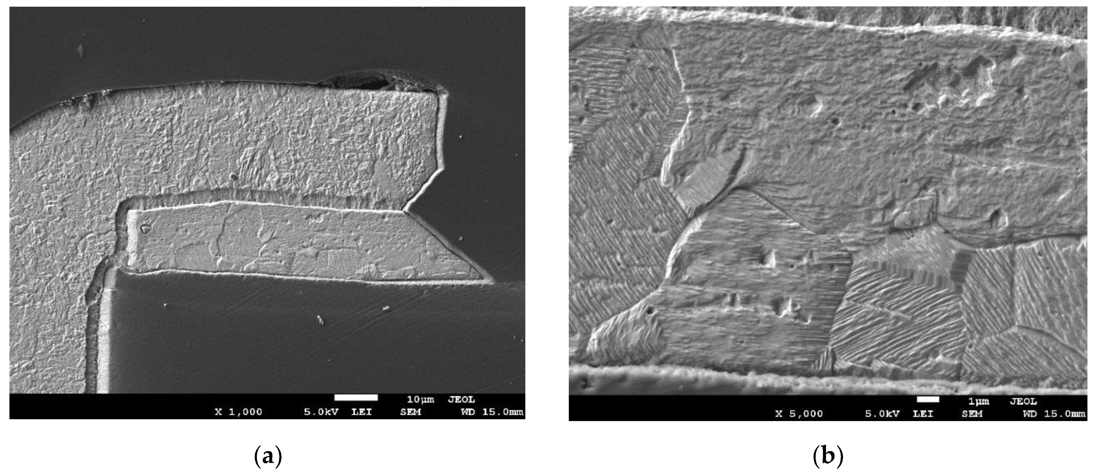 Preprints 142449 g015