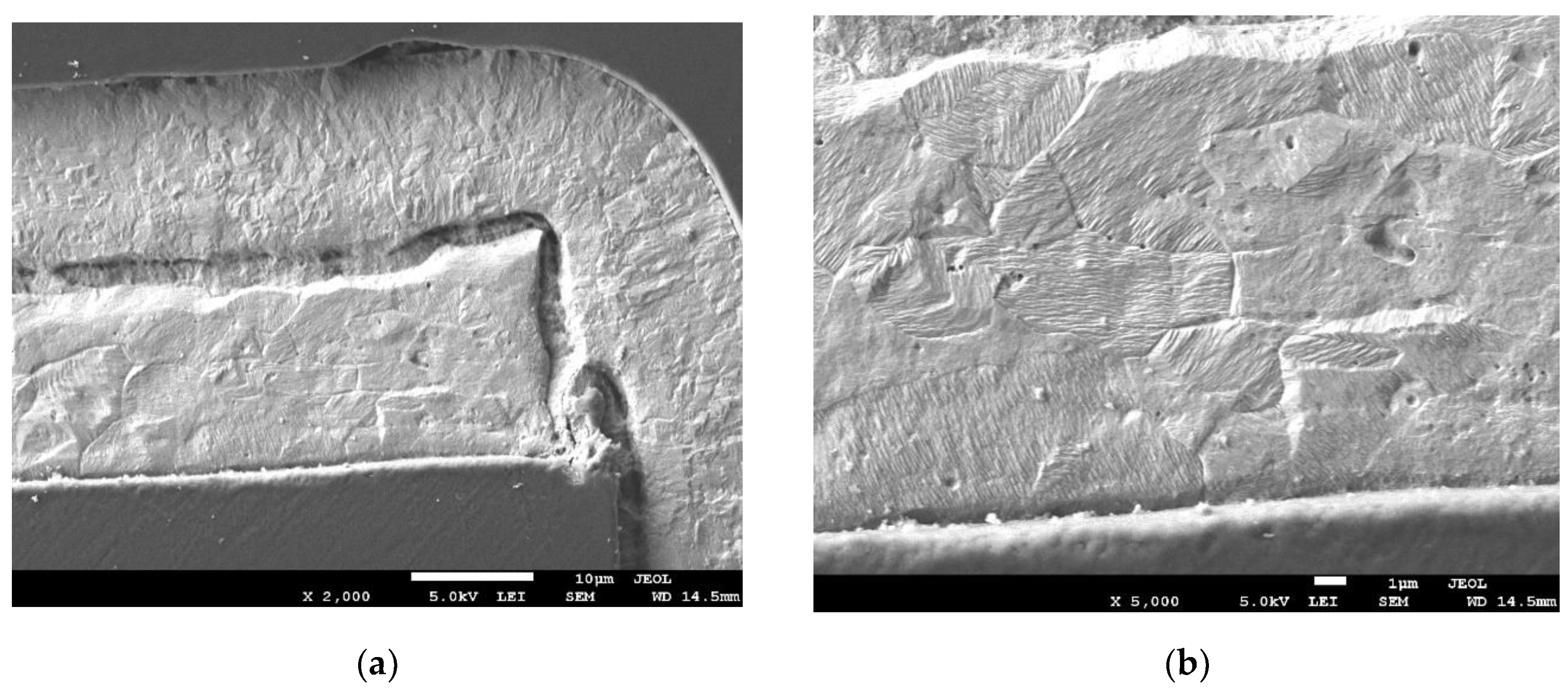 Preprints 142449 g016