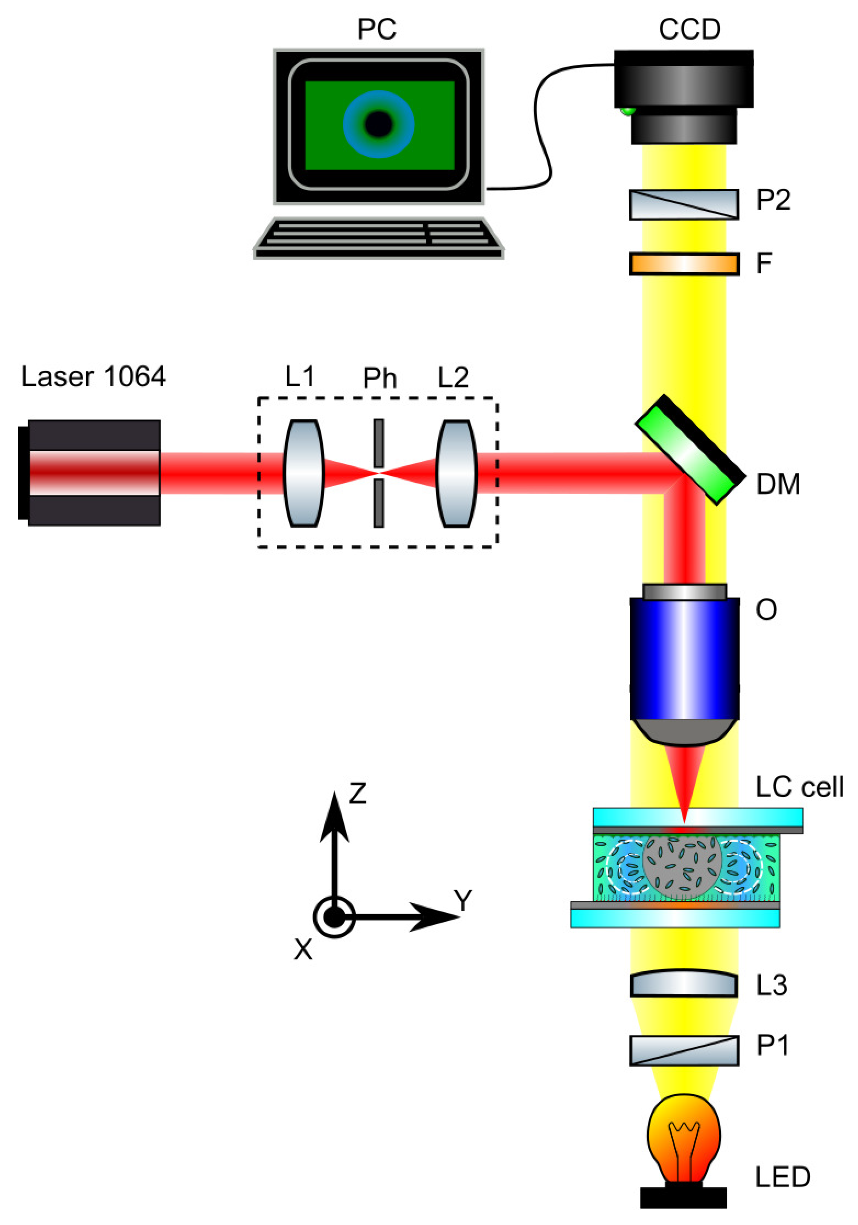 Preprints 176325 g002