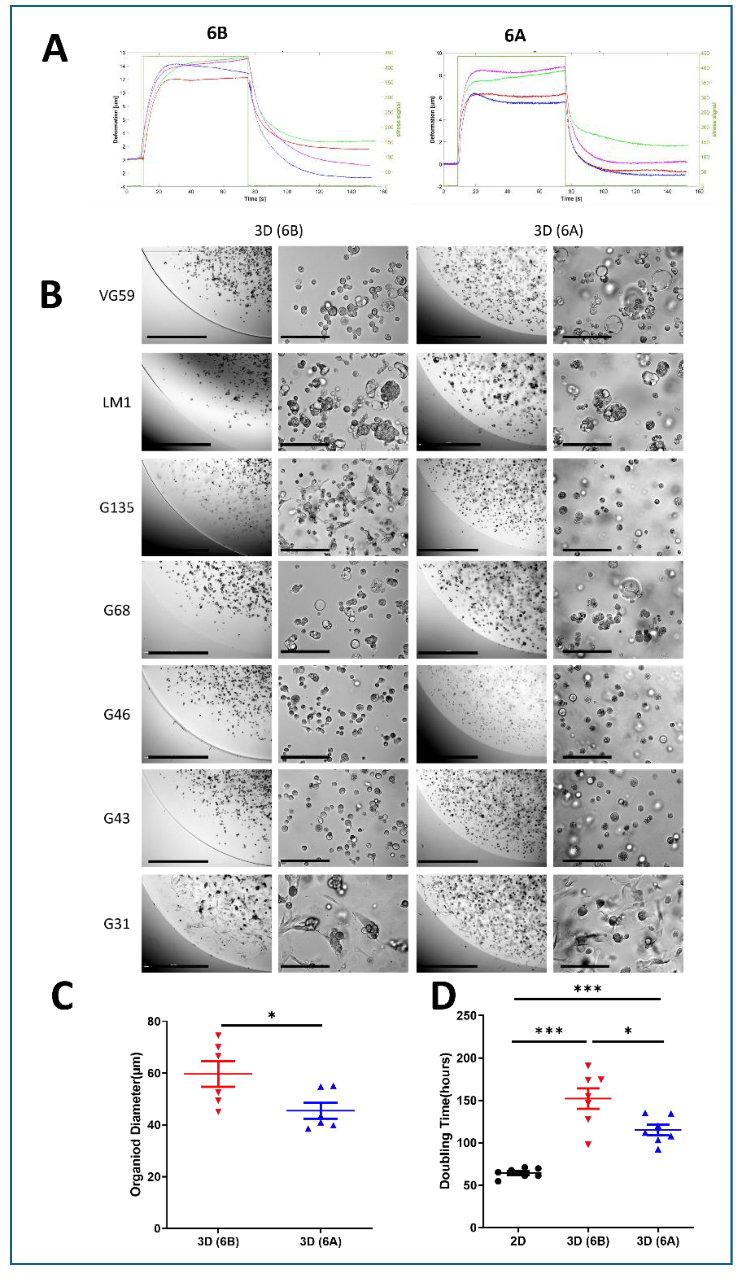 Preprints 141777 g001