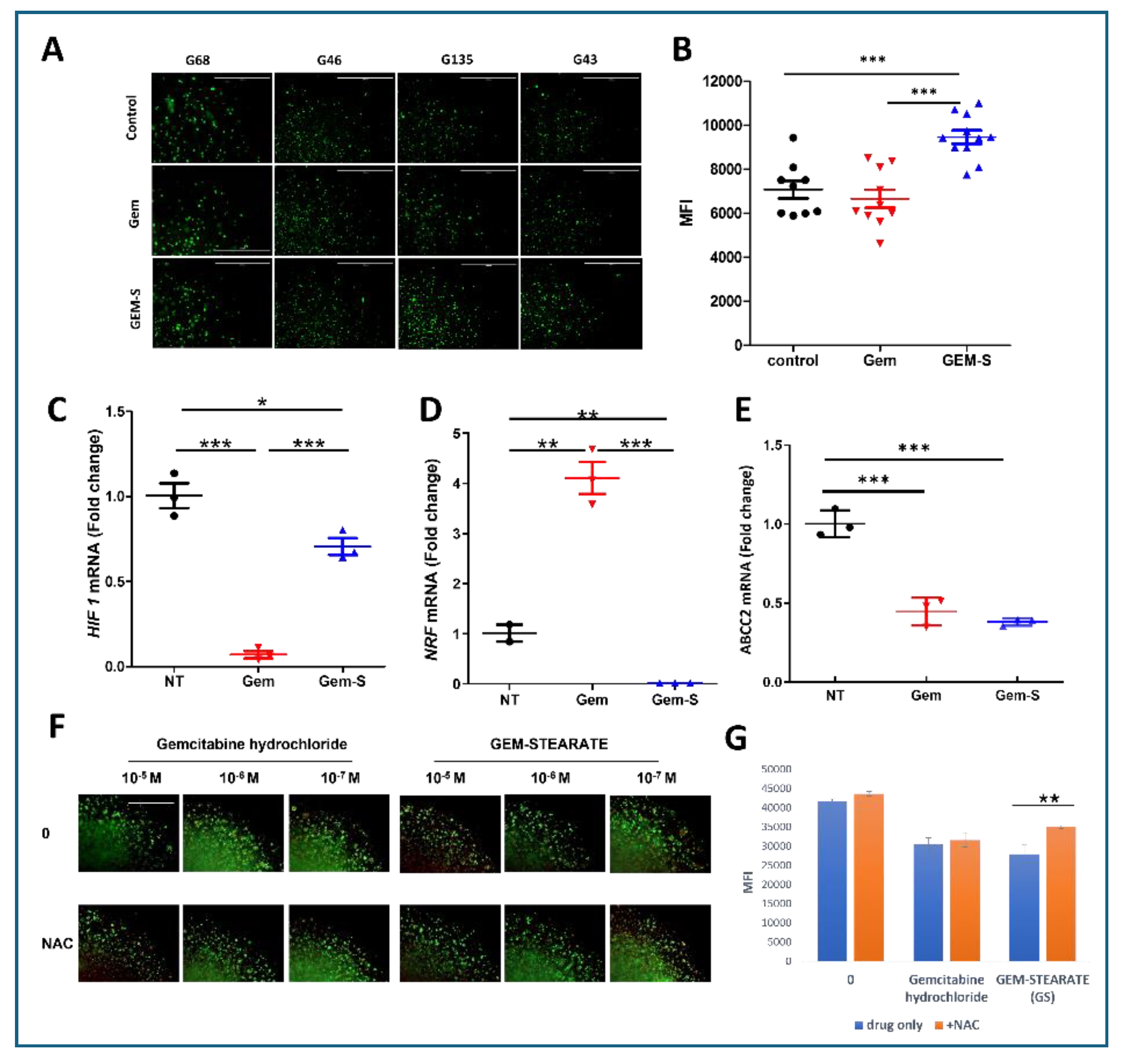 Preprints 141777 g005