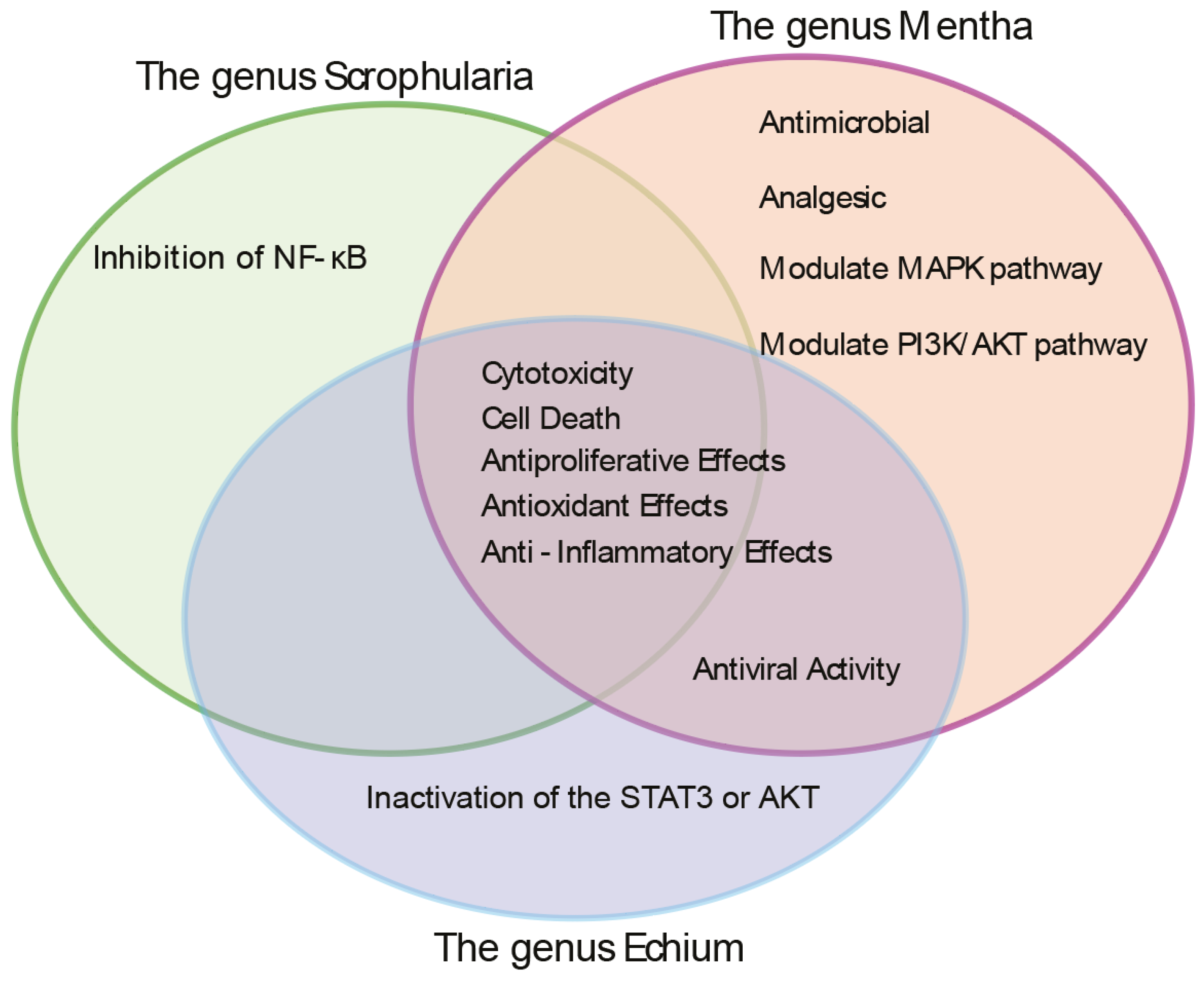 Preprints 161867 g001