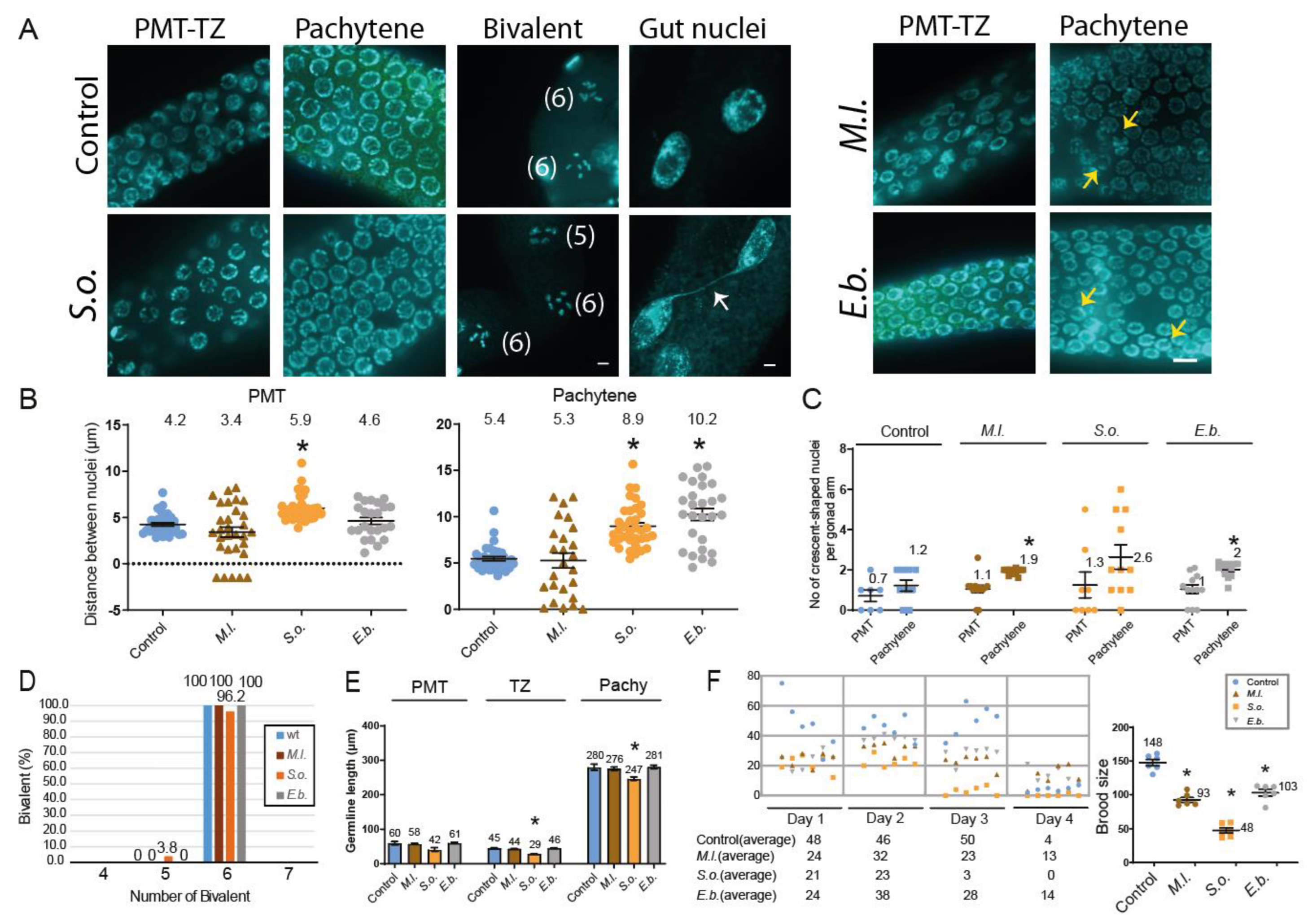 Preprints 161867 g003