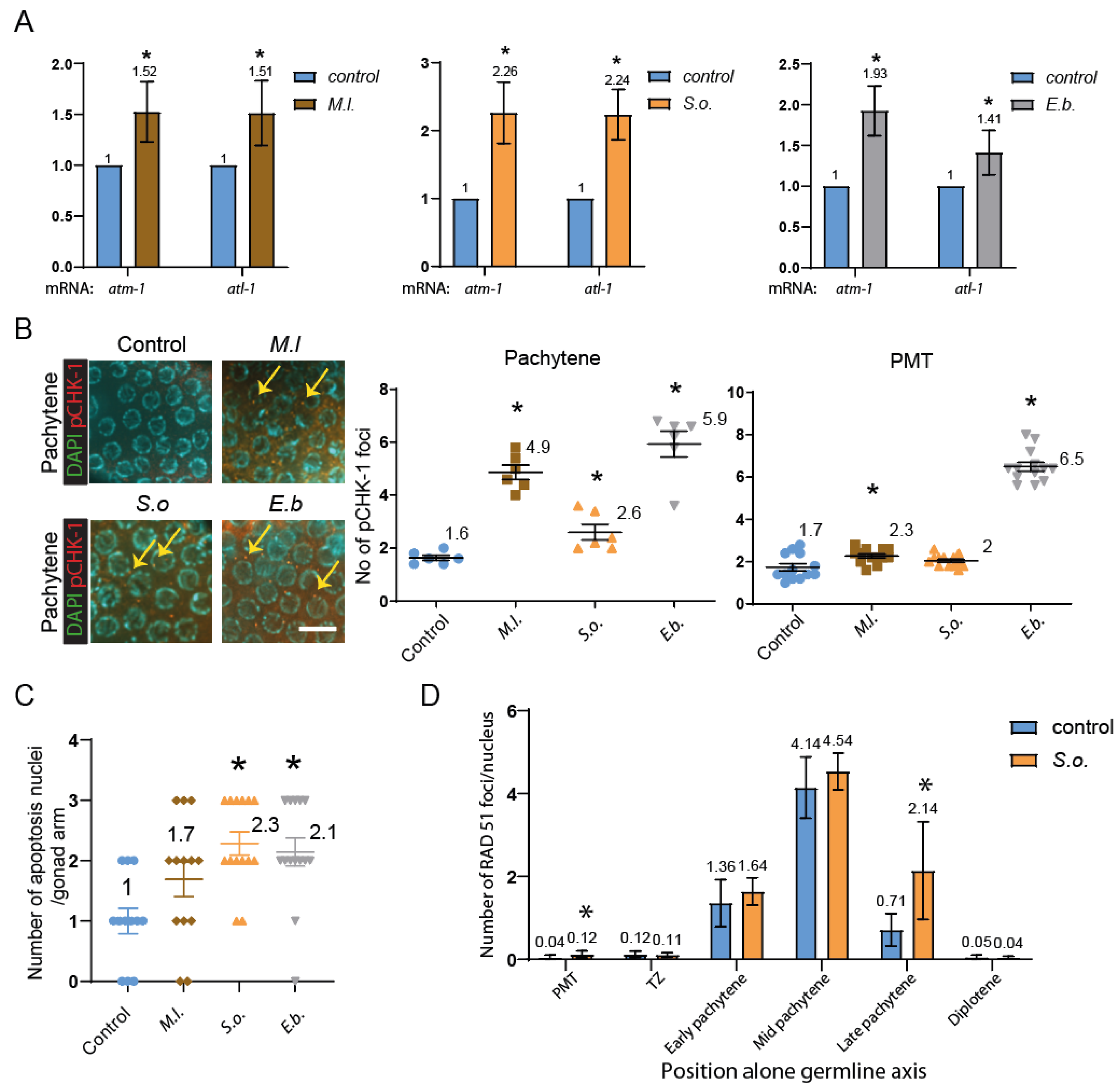Preprints 161867 g004