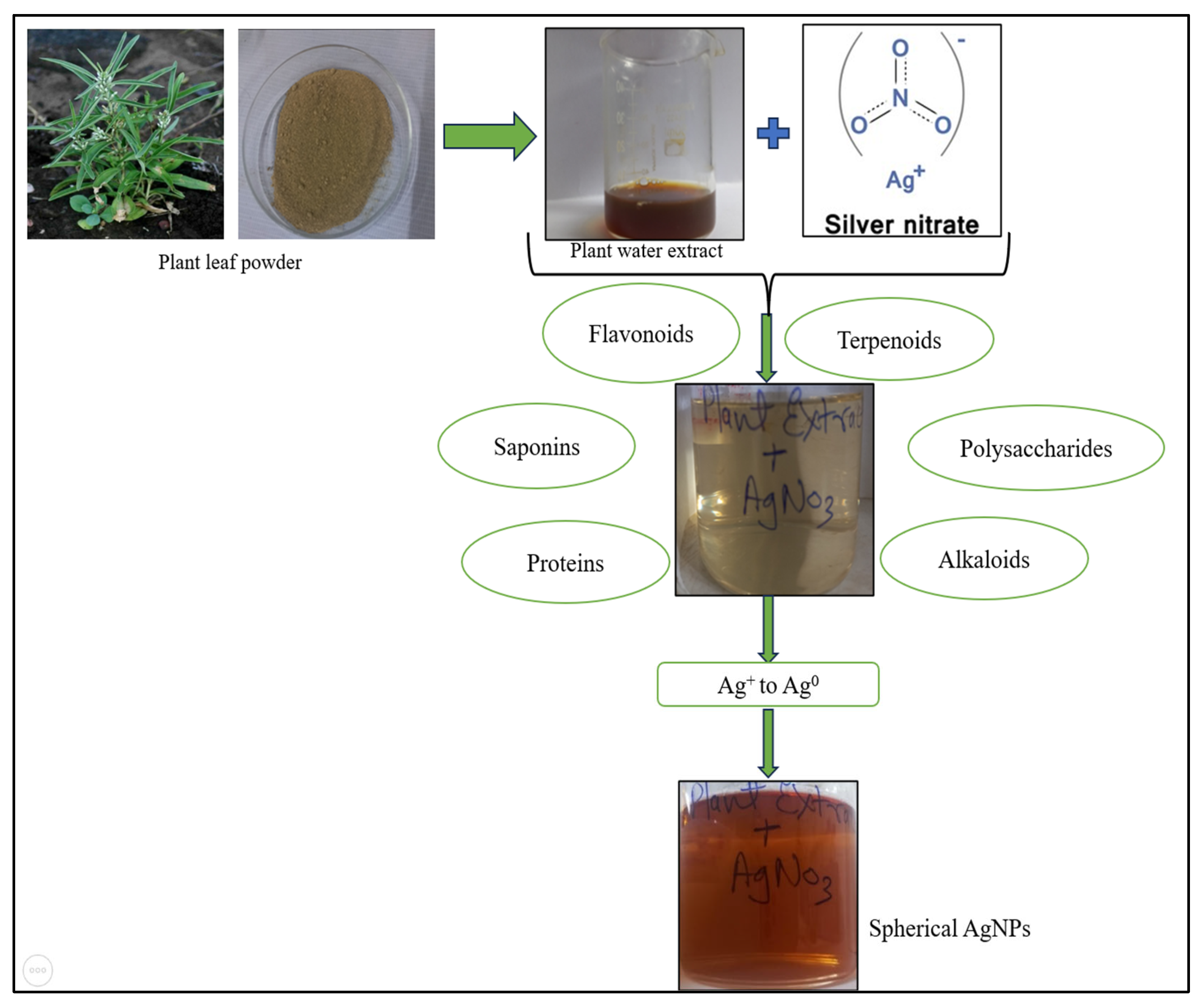 Preprints 162962 g001
